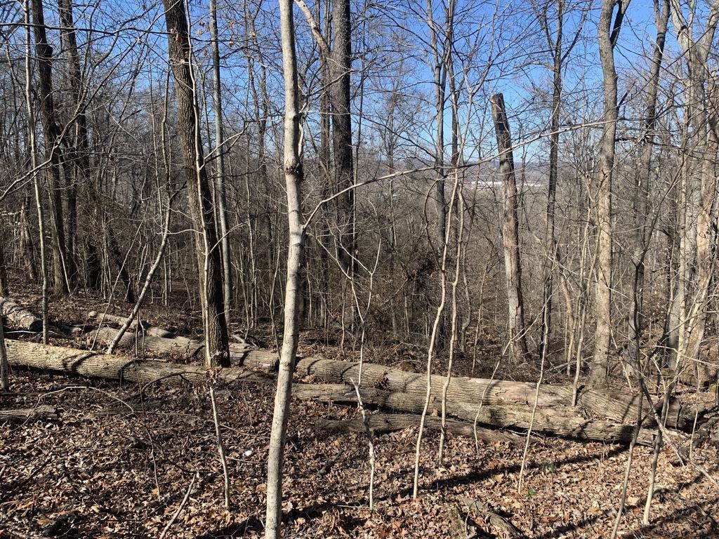 0 Woodland Way
