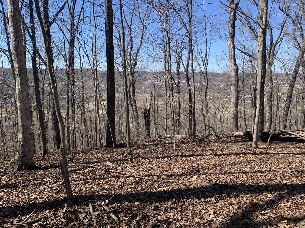 0 Woodland Way