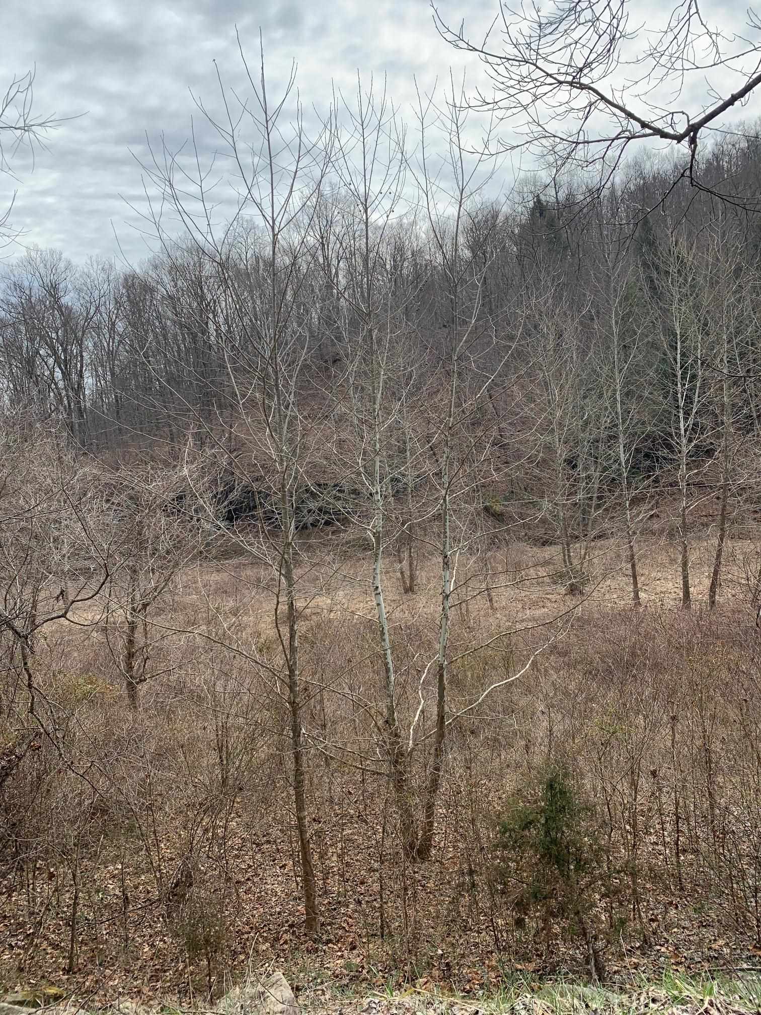 Cooksey Fork