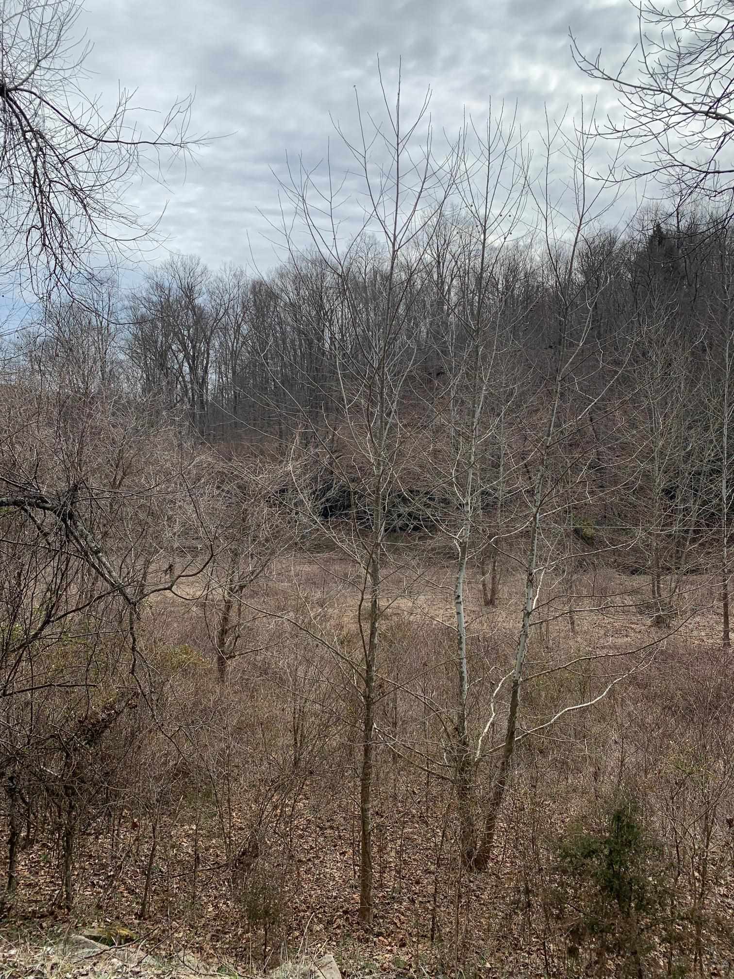 Cooksey Fork