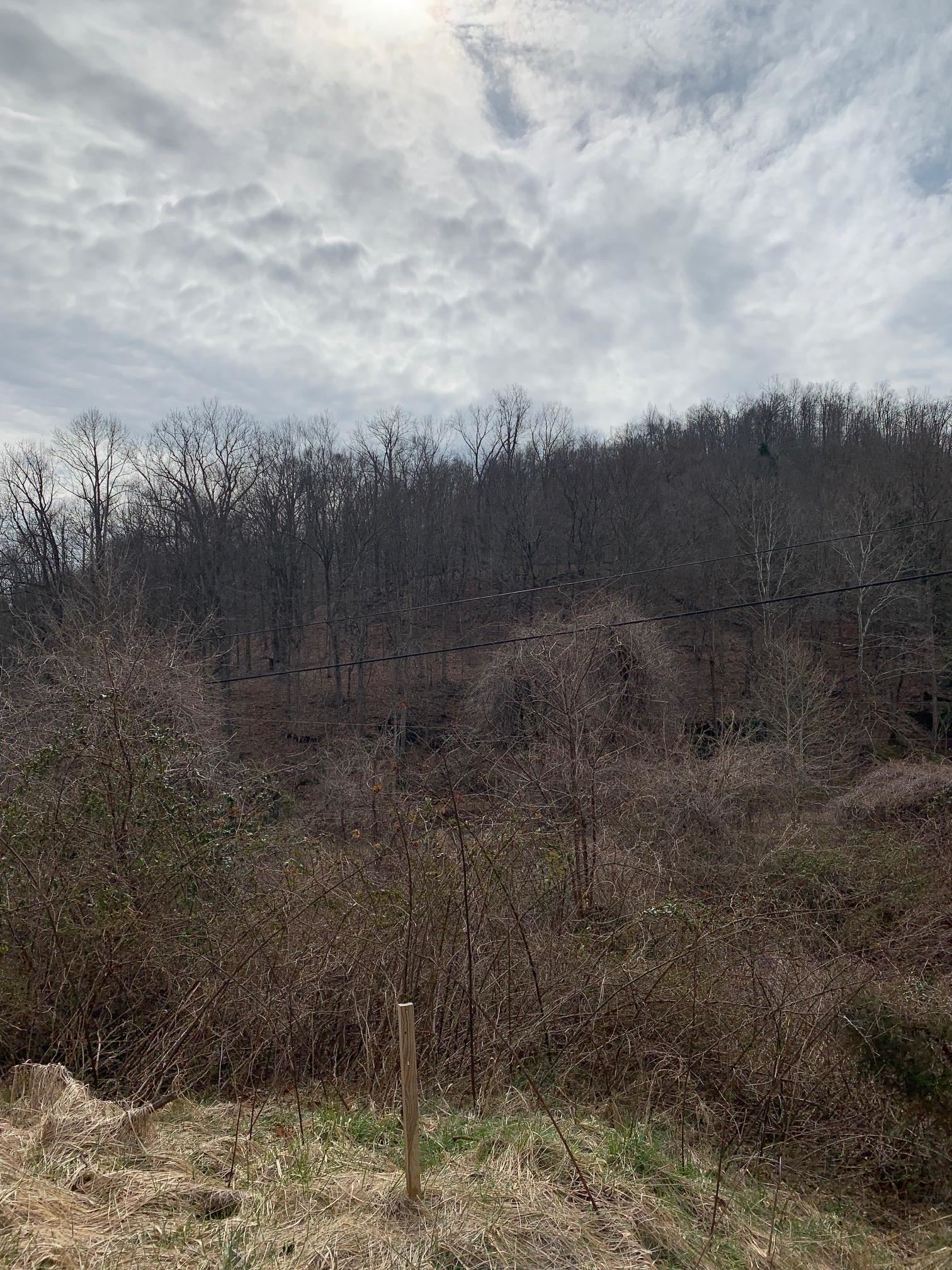 Cooksey Fork