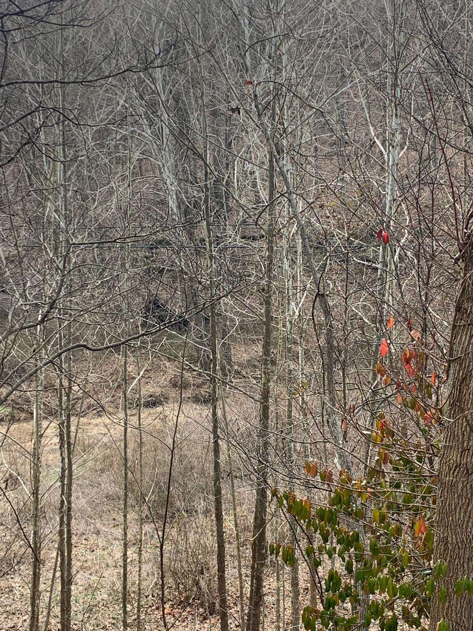 Cooksey Fork