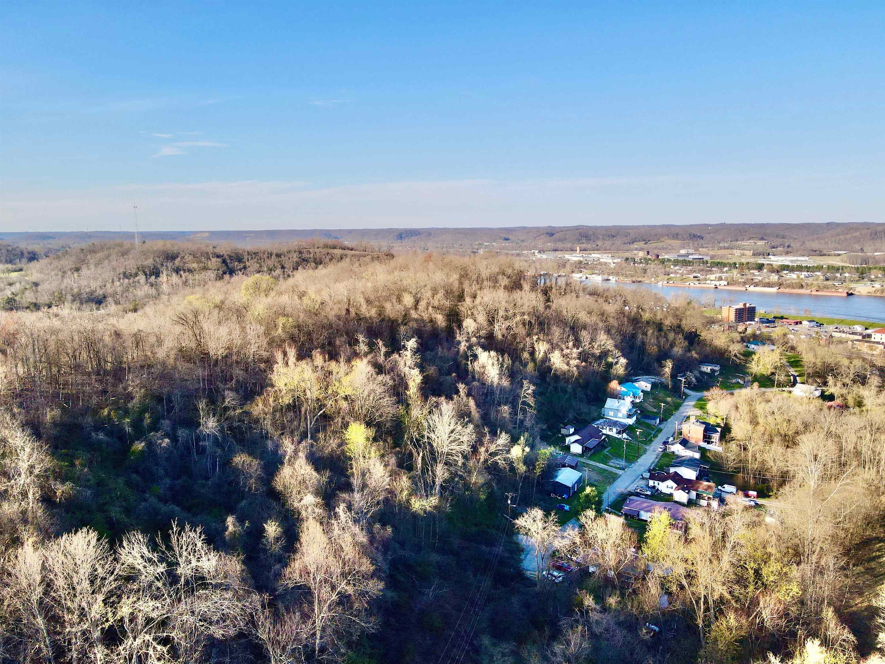 Forest Ave & Woodland Court