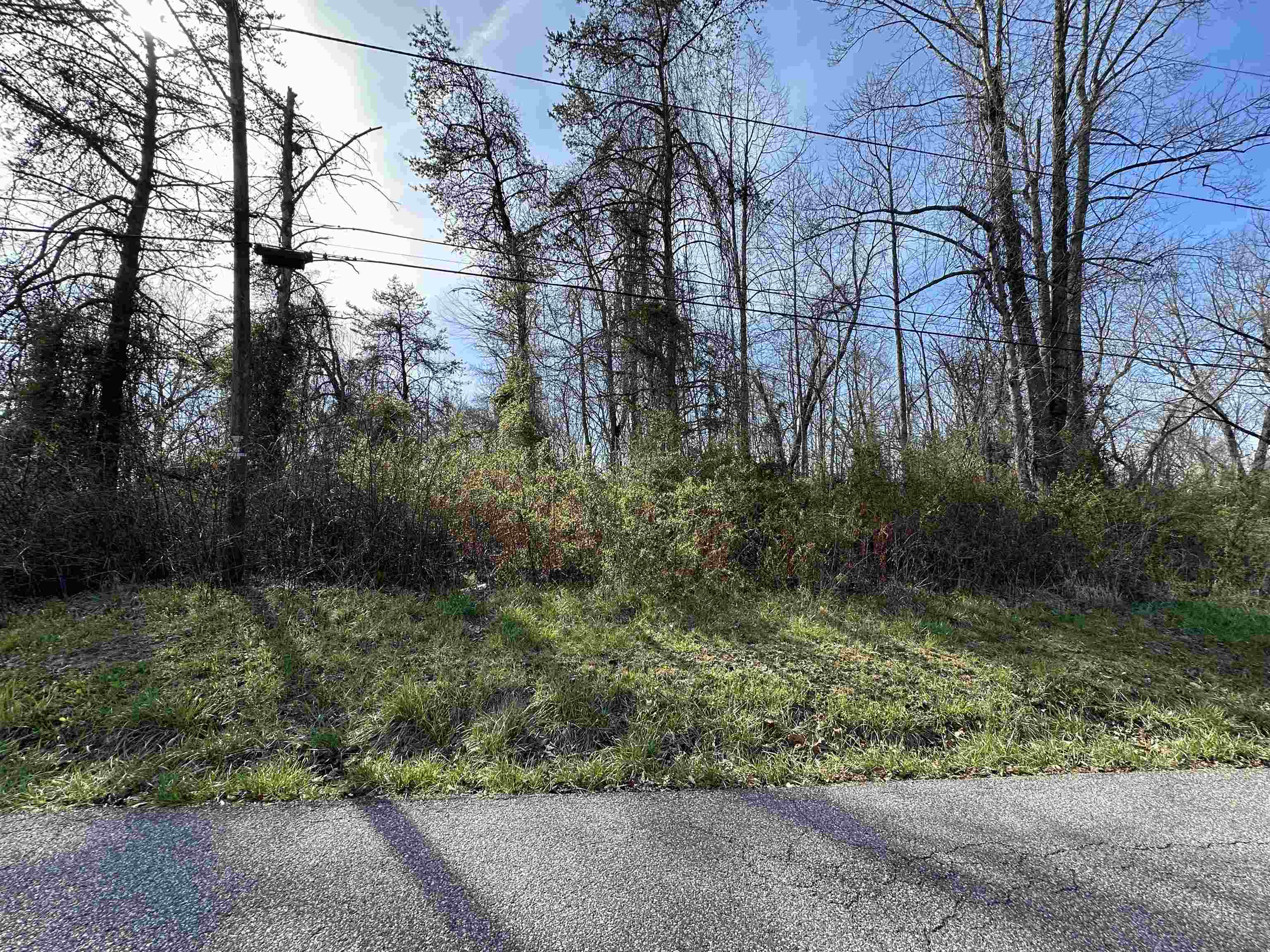 Forest Ave & Woodland Court