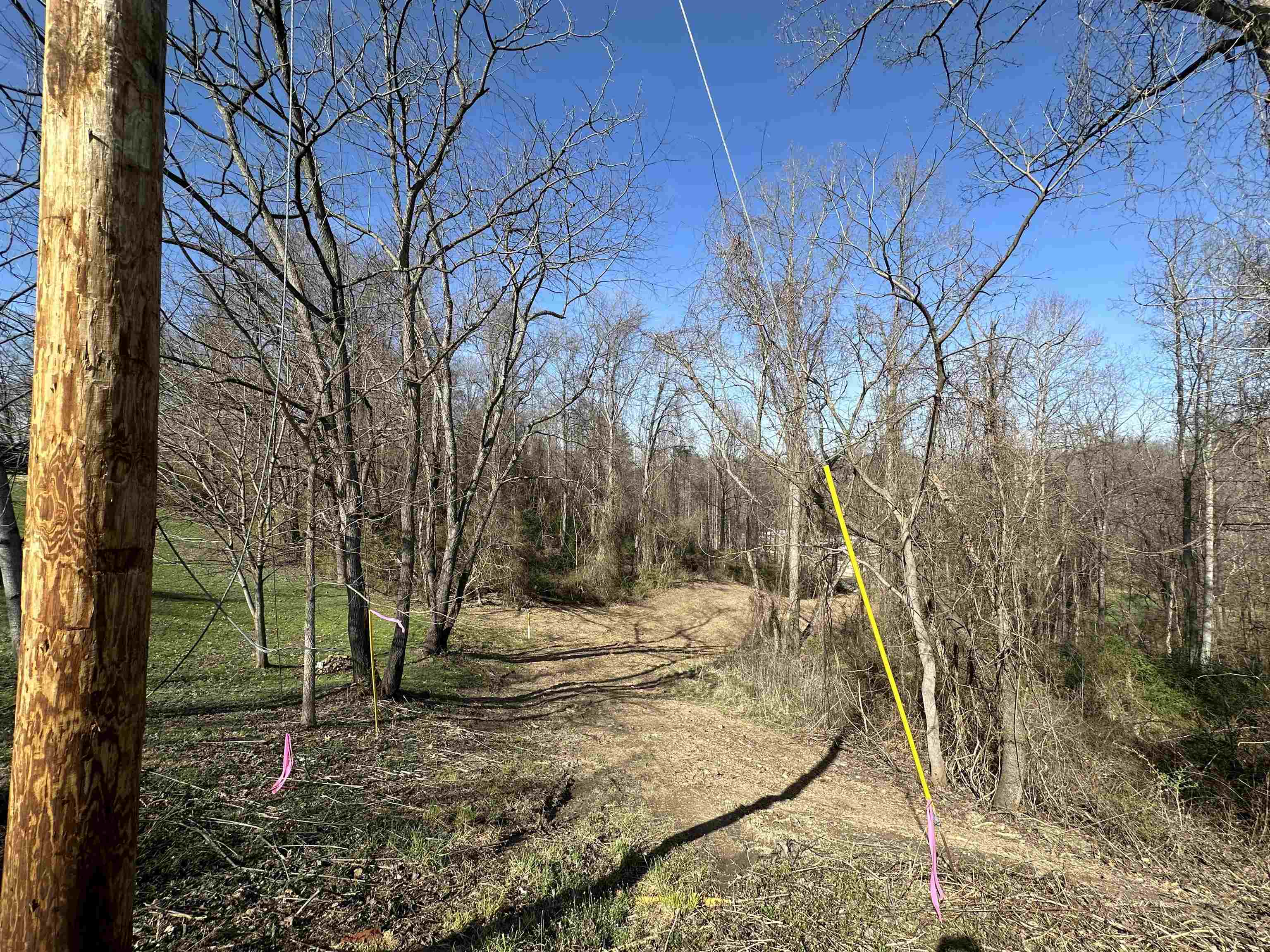 Forest Ave & Woodland Court