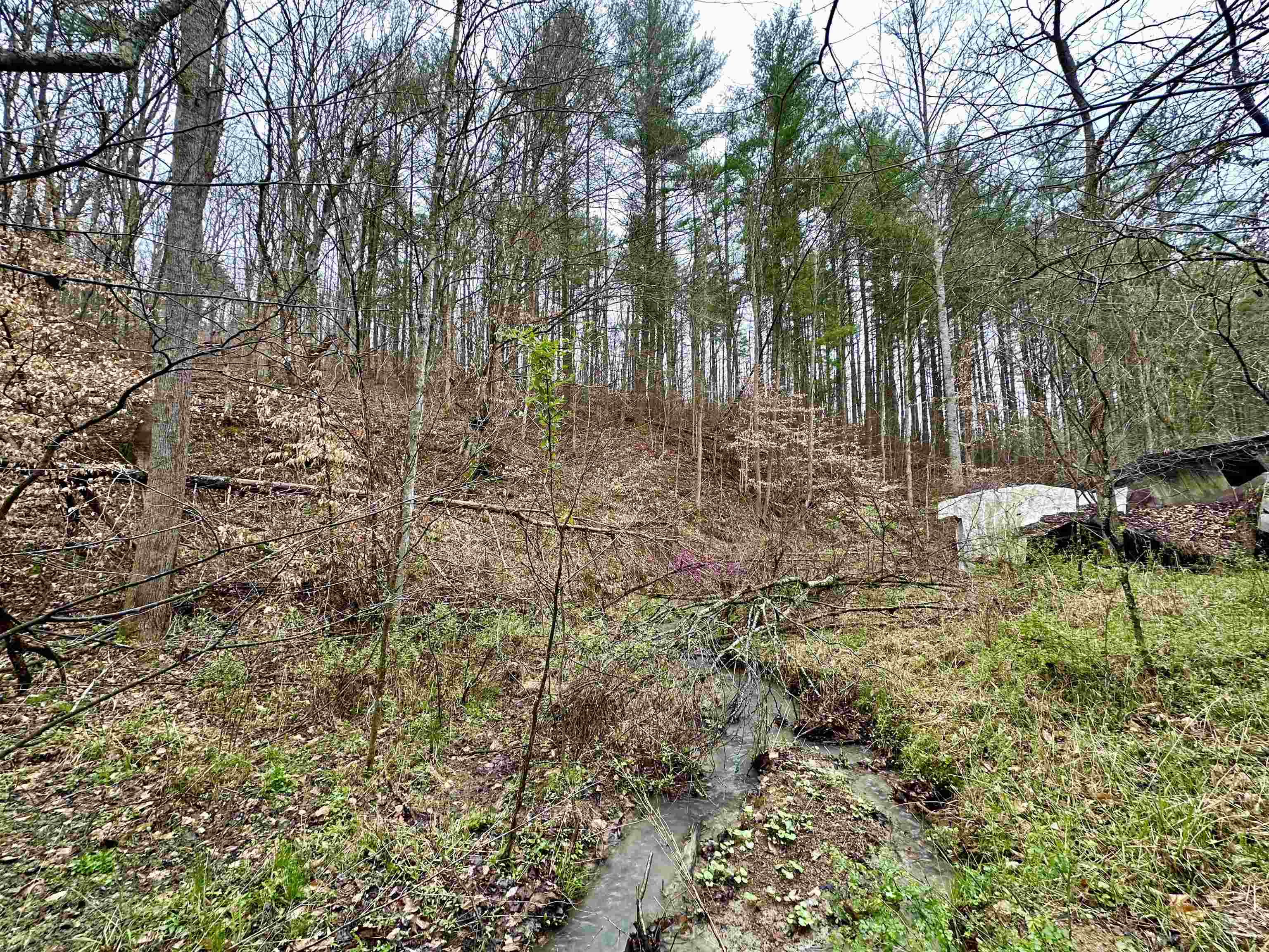 Perry Rose Branch