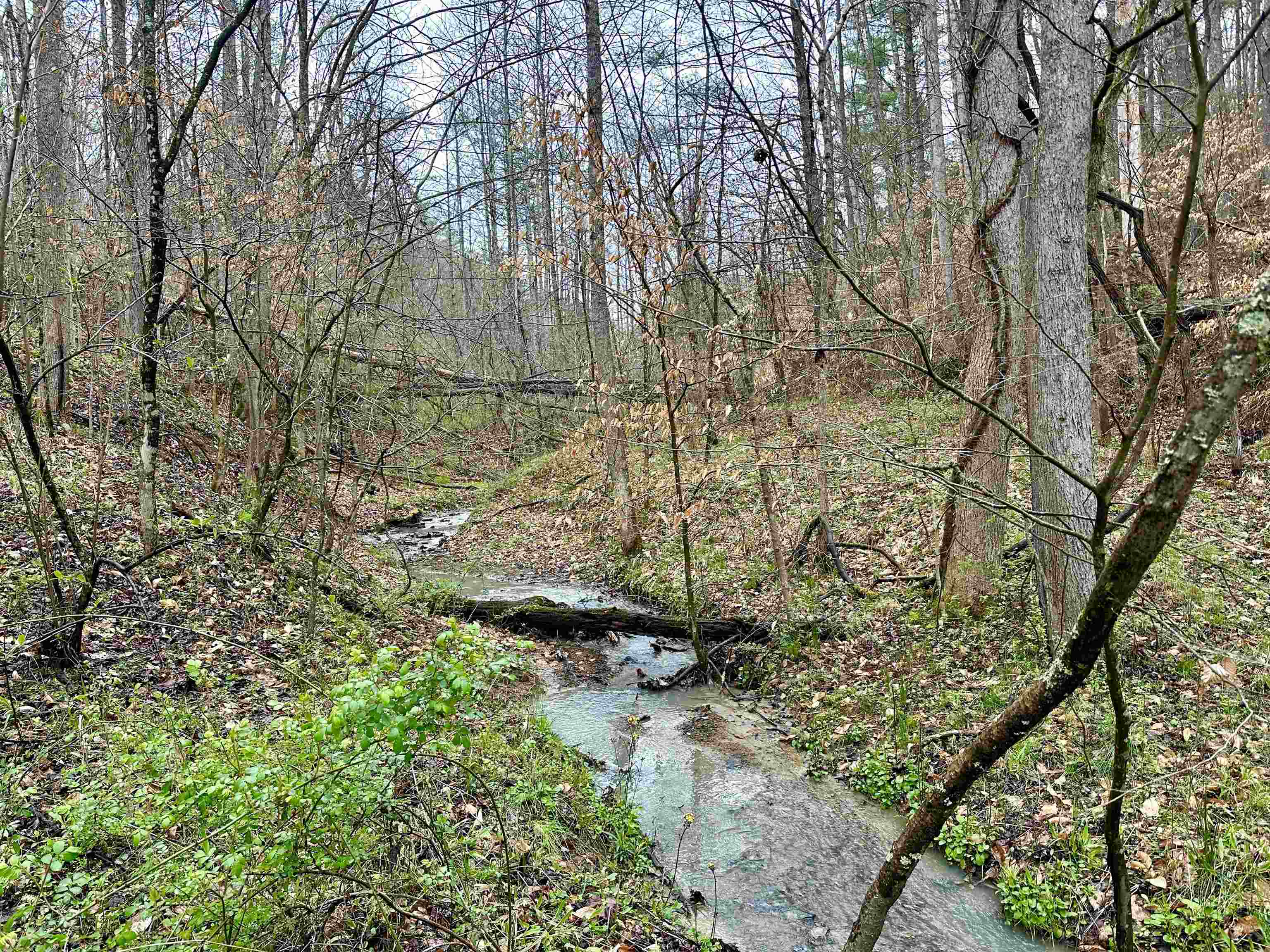 Perry Rose Branch
