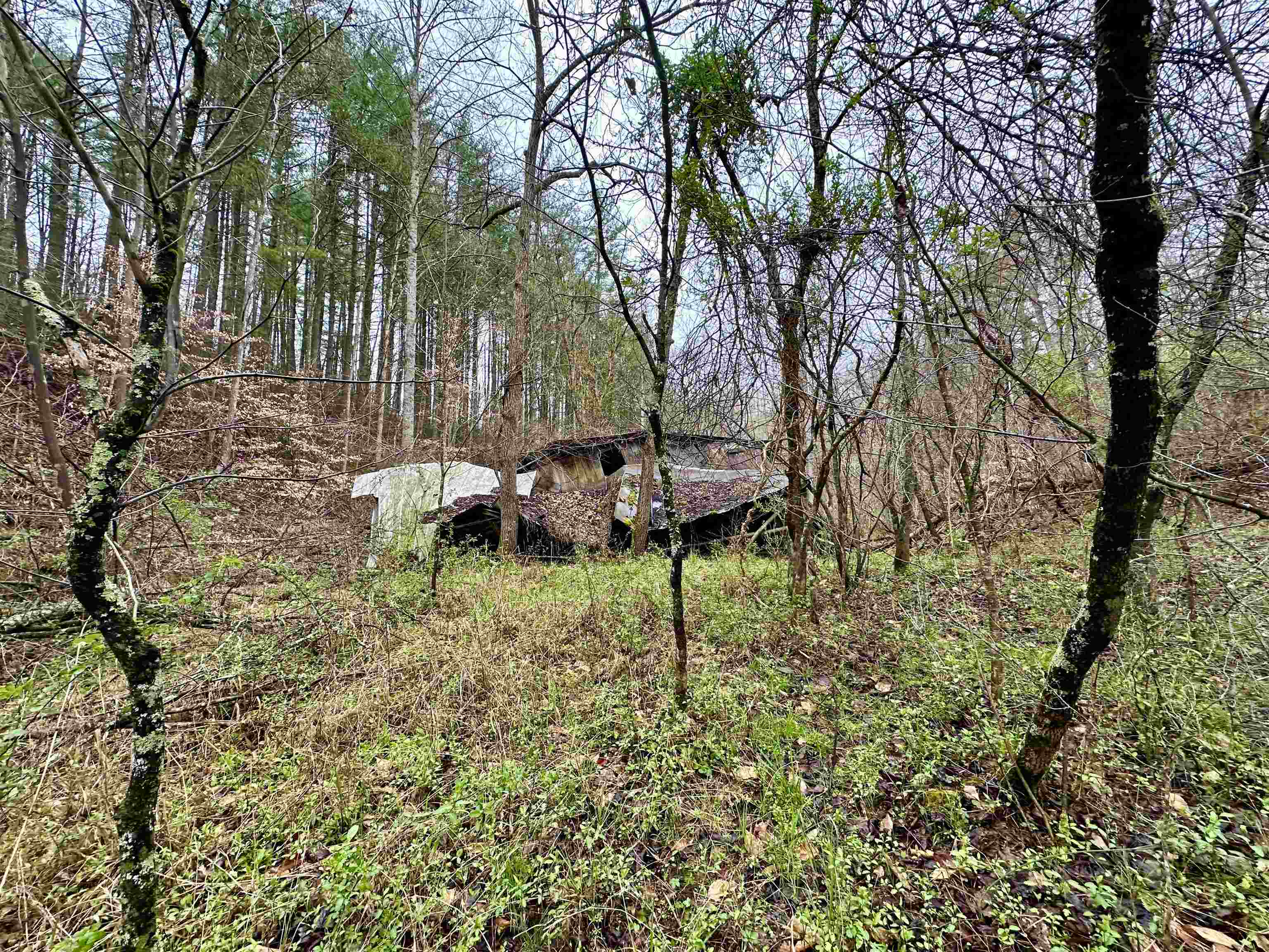 Perry Rose Branch