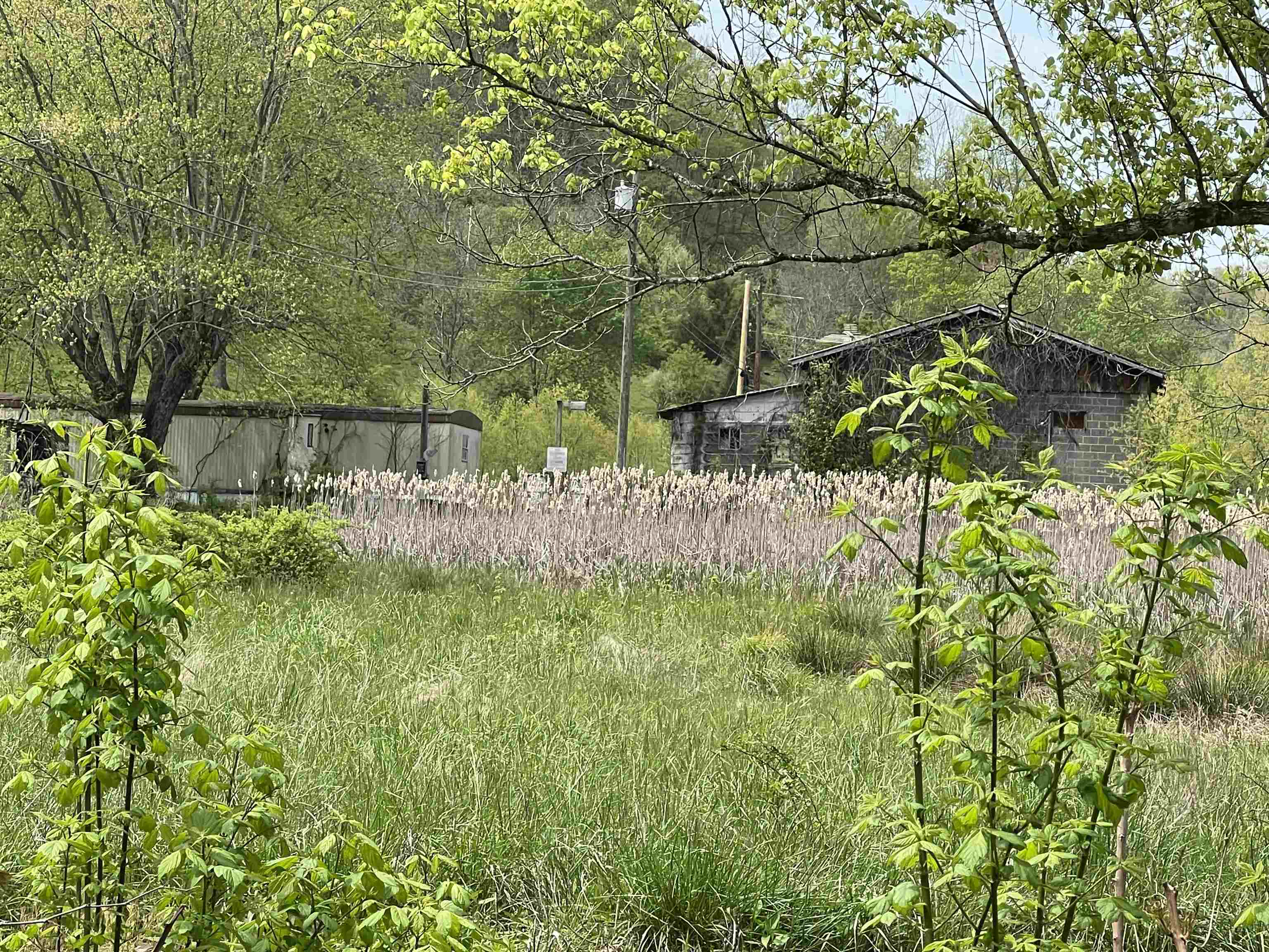 647 State Highway 486