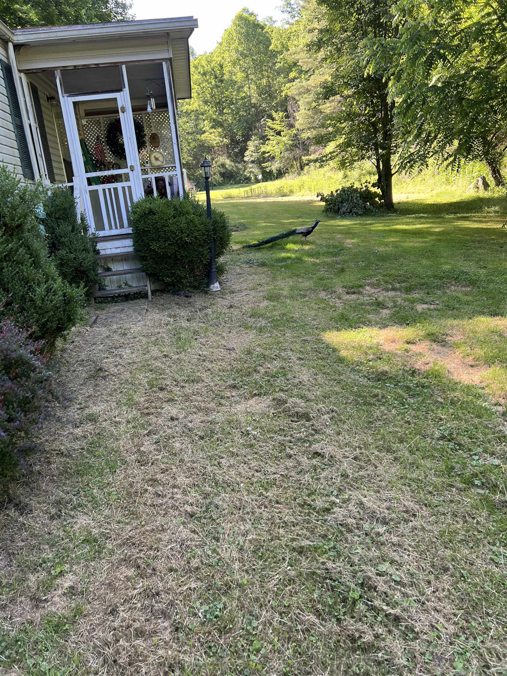 914 Gallion Branch Road