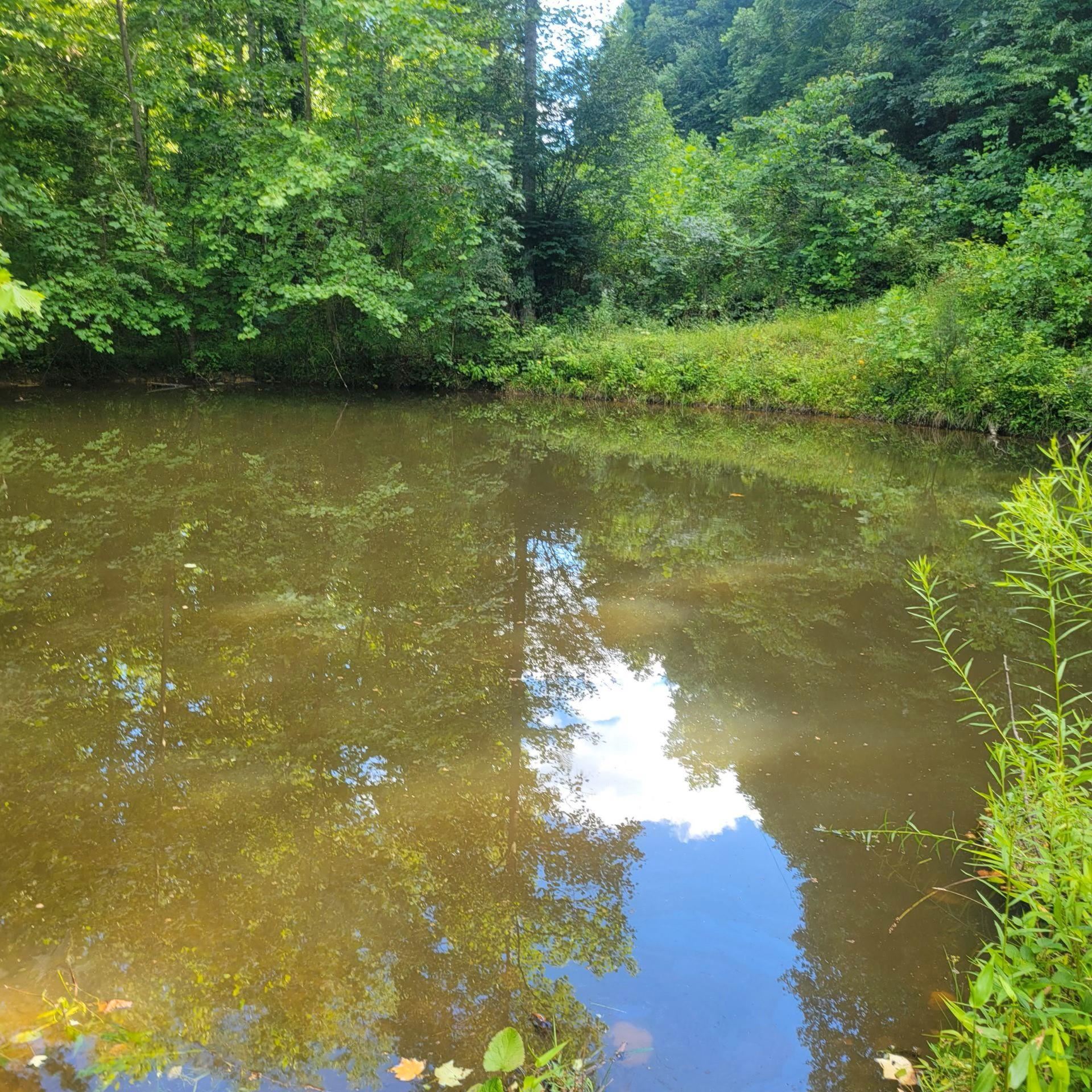 914 Gallion Branch Road