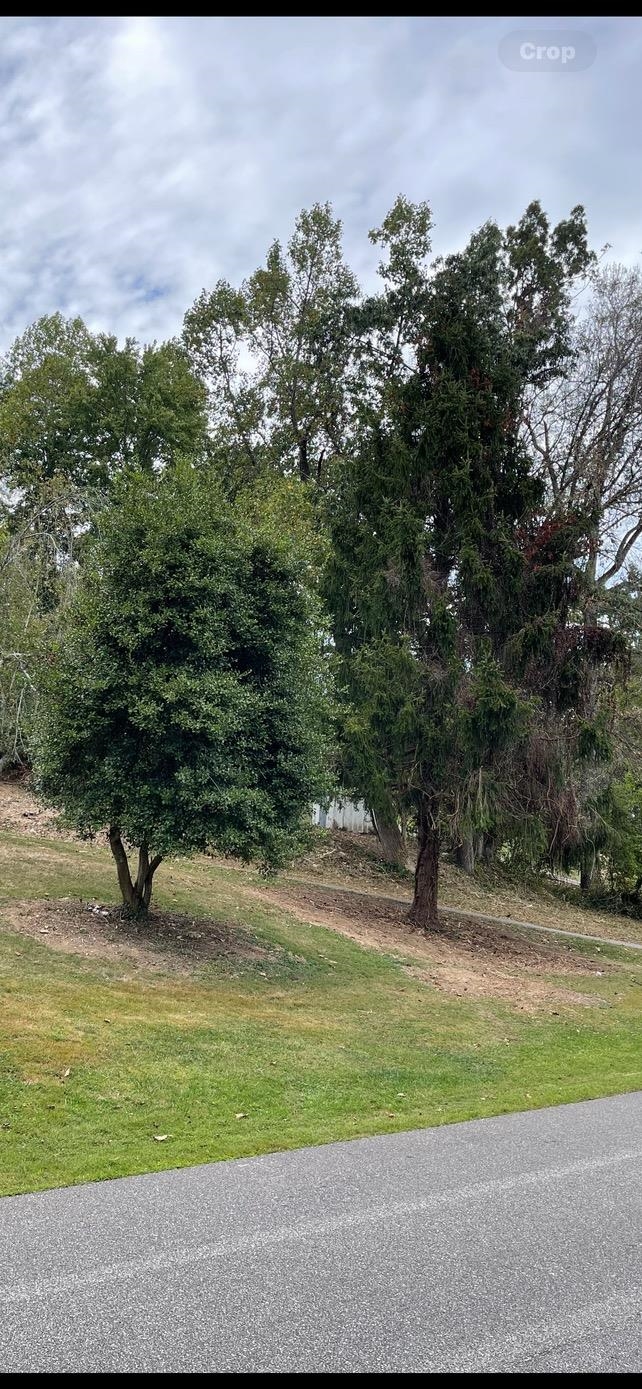 Country Club Drive, Lot 22