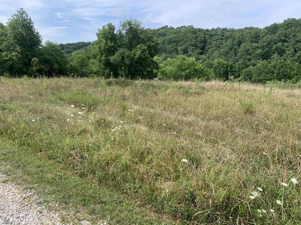50 Upper Grassy Road
