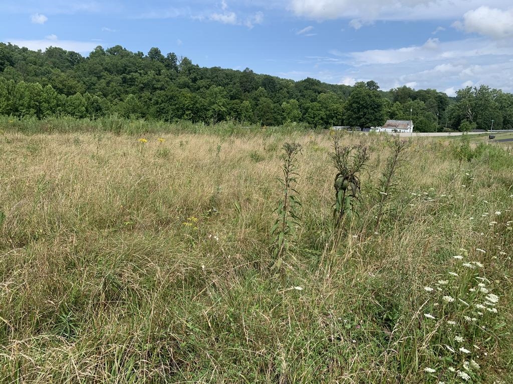 50 Upper Grassy Road