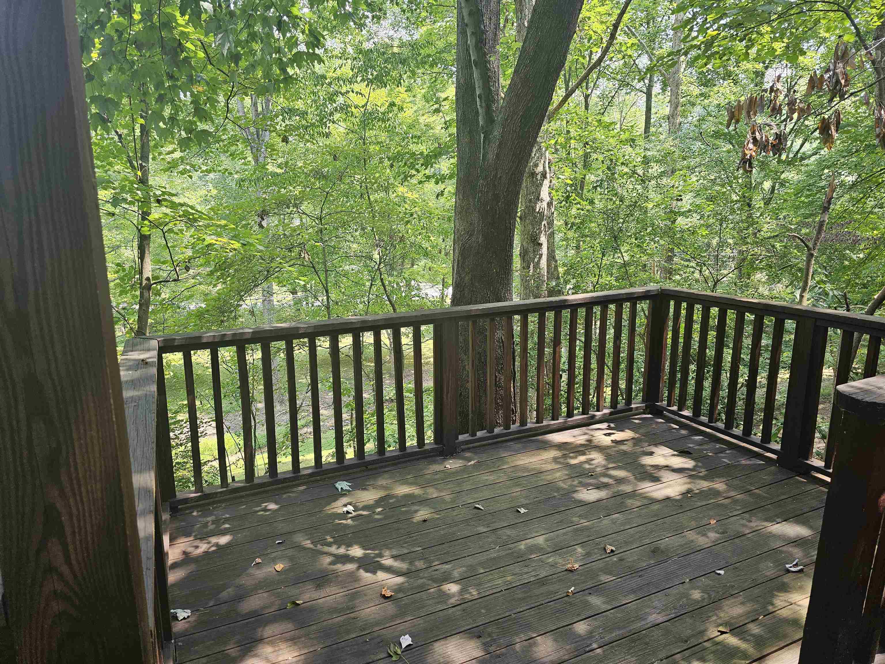 112 Bluebird Drive