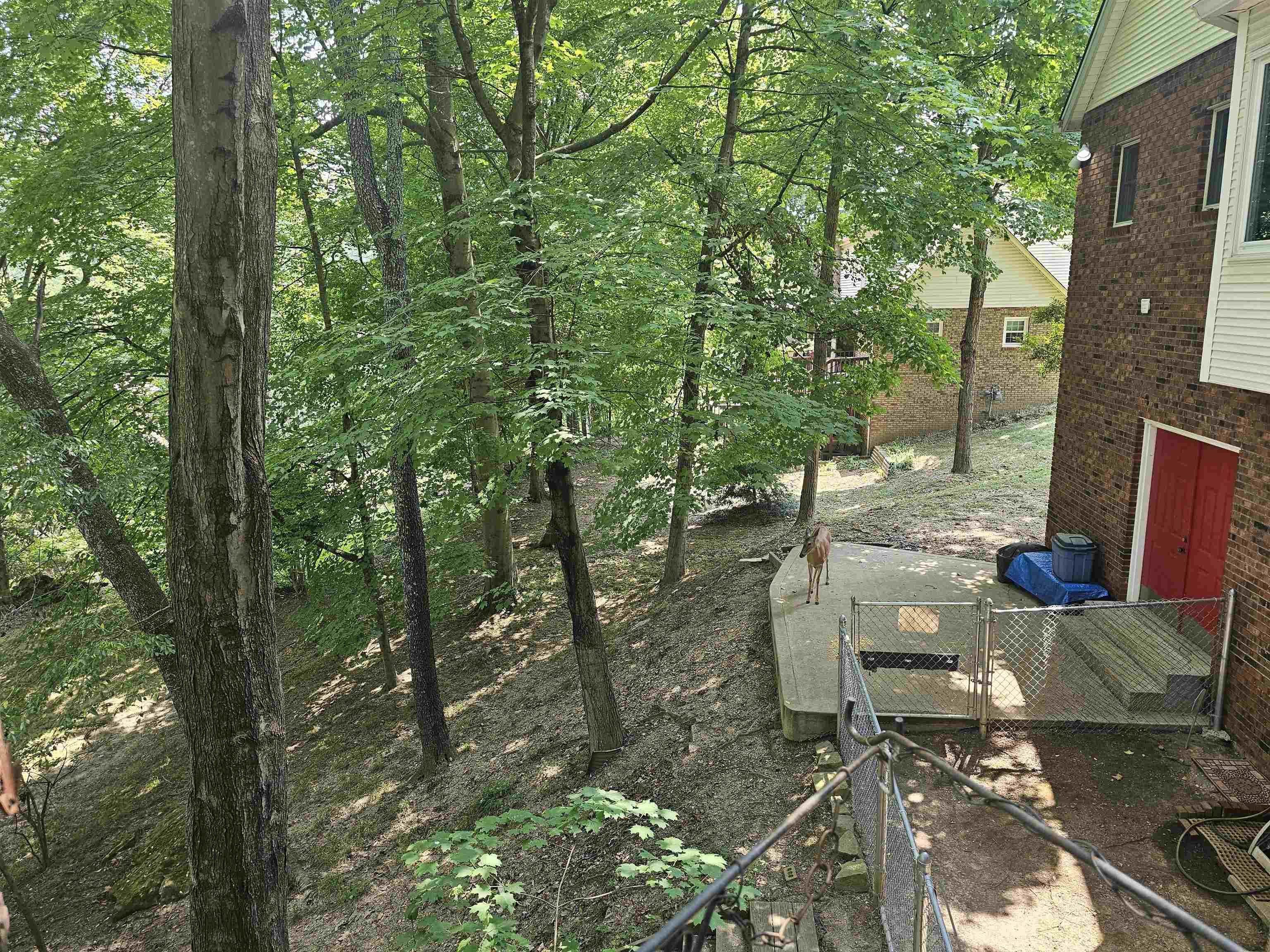 112 Bluebird Drive