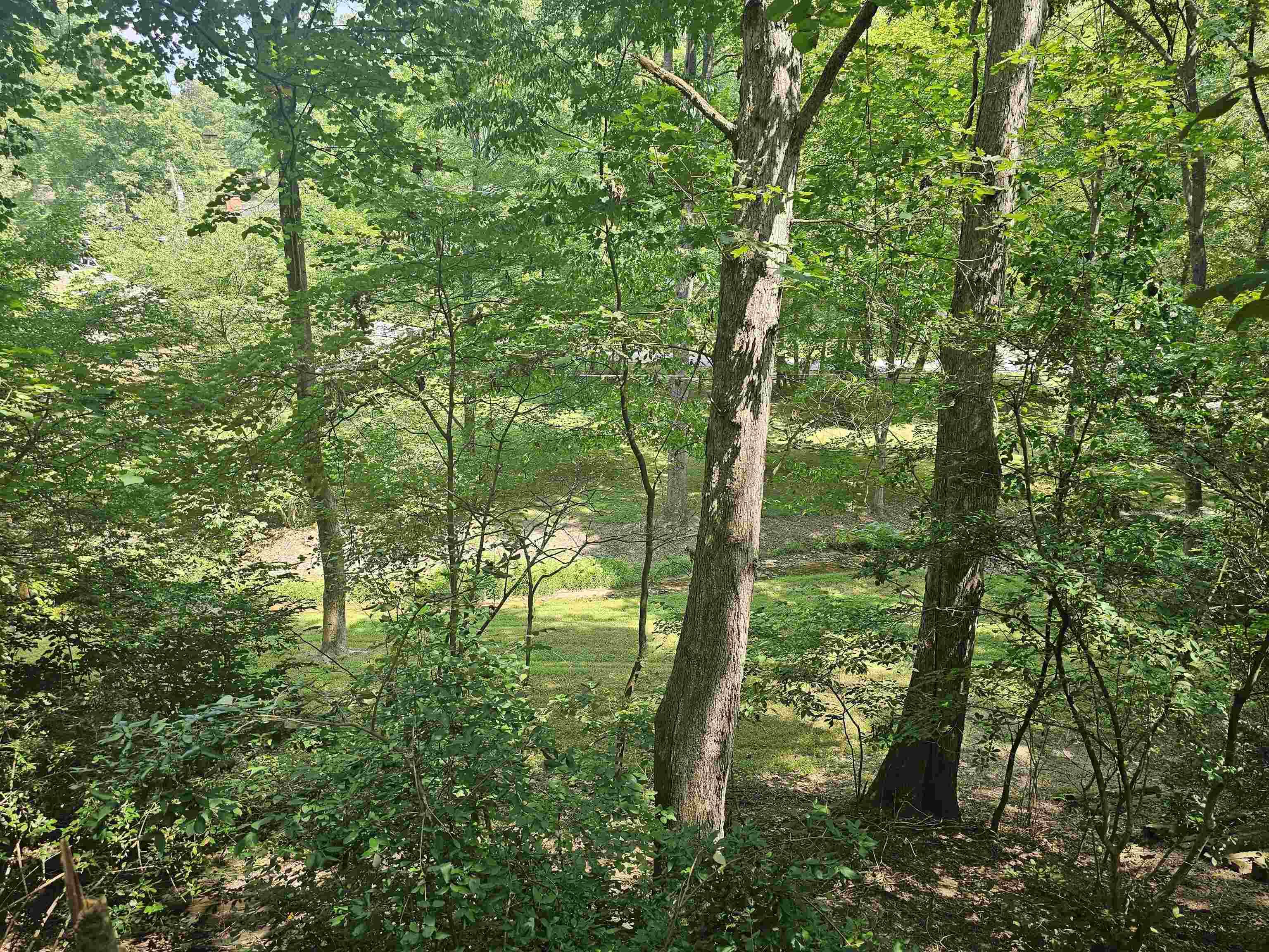 112 Bluebird Drive