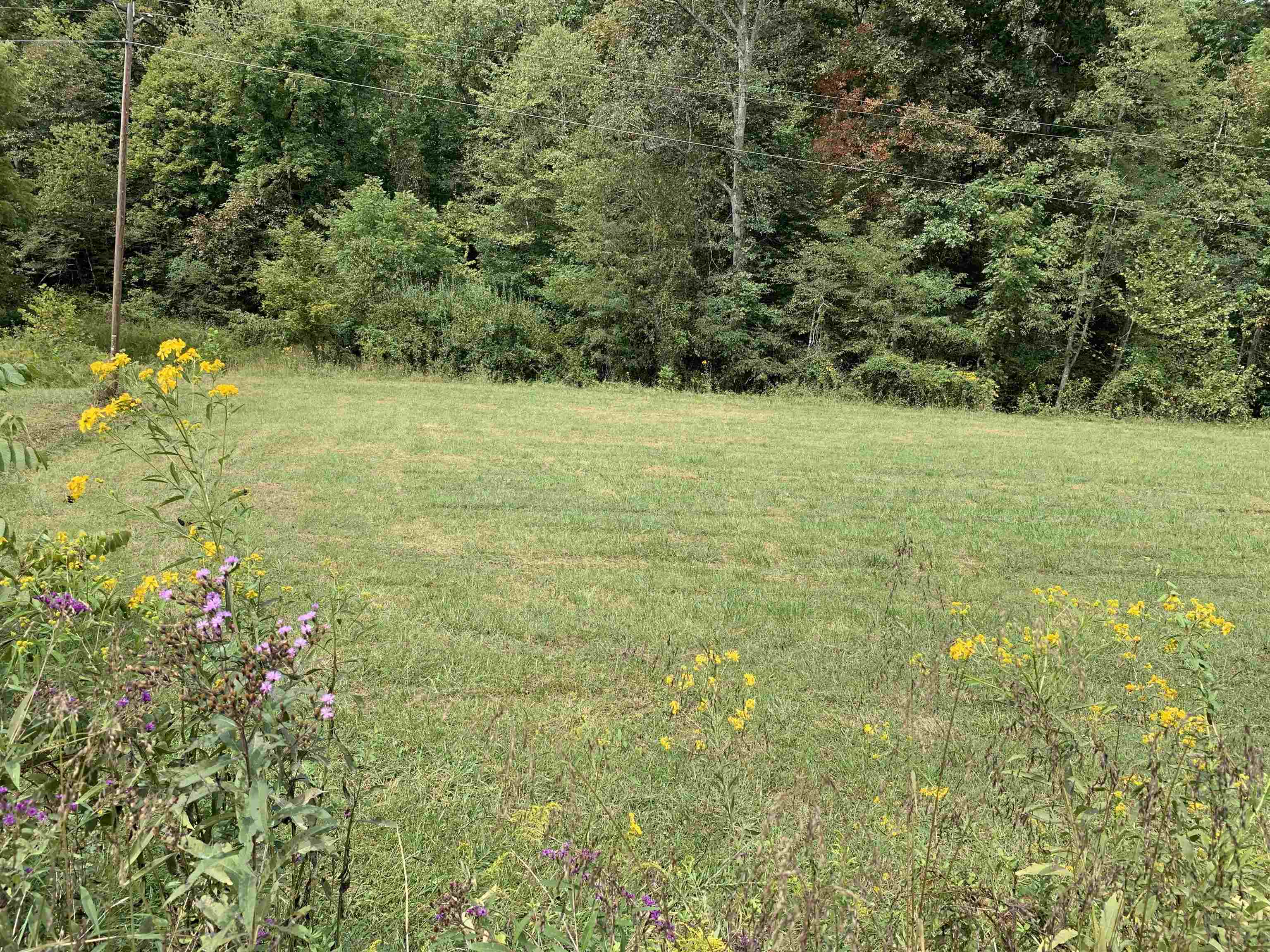 Lick Creek Road