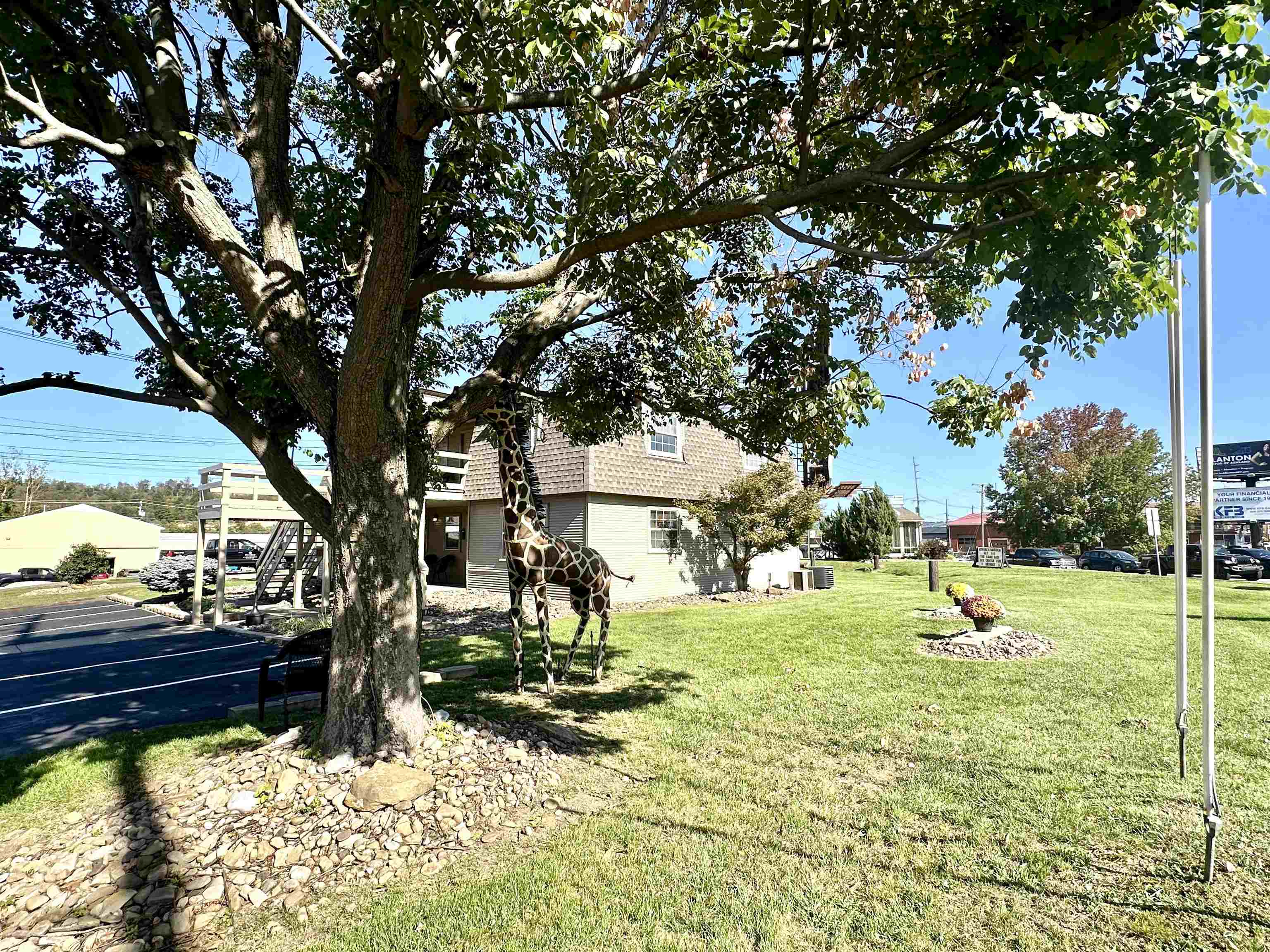 701 Winchester Avenue