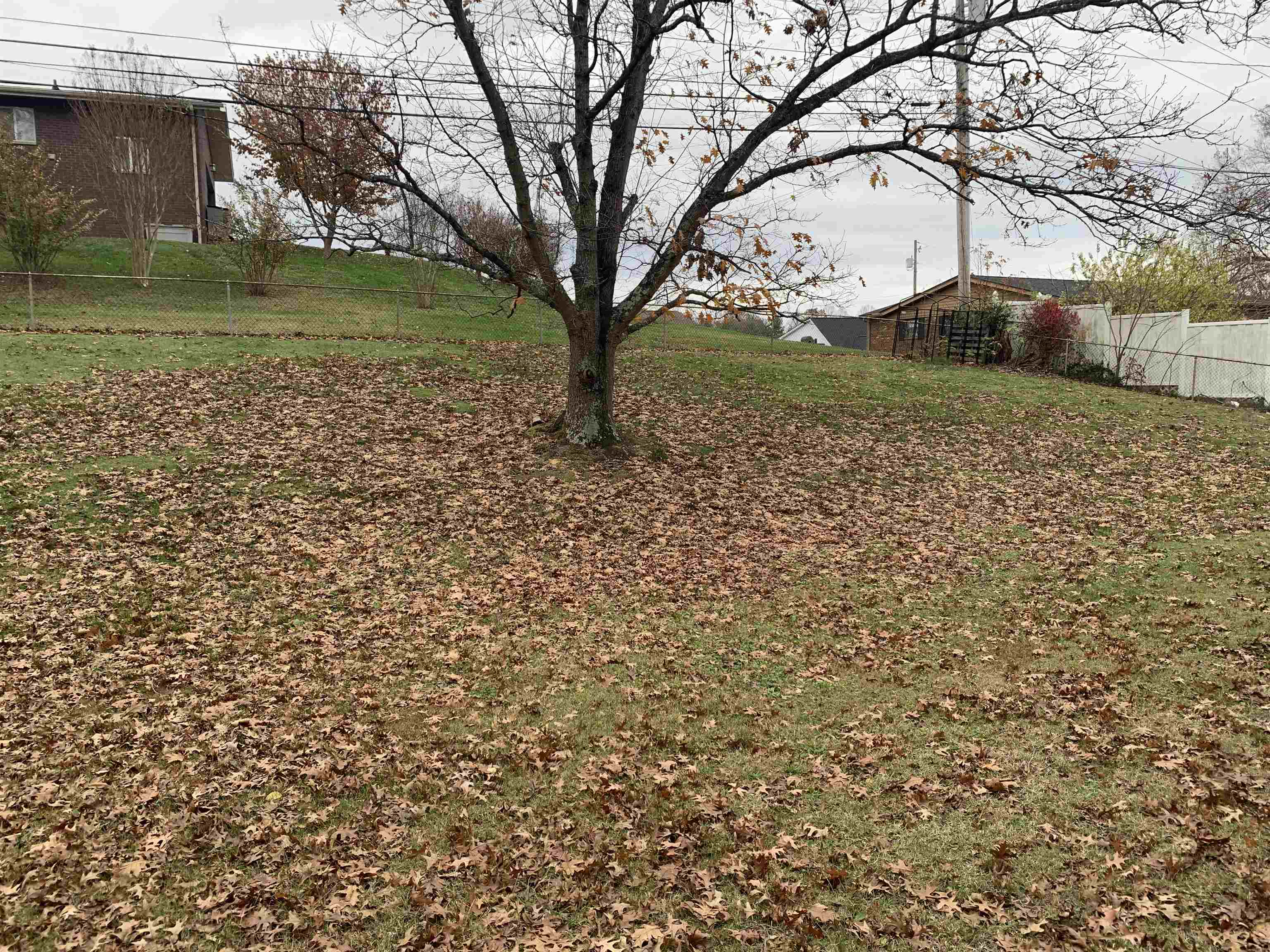 98 Verna Drive