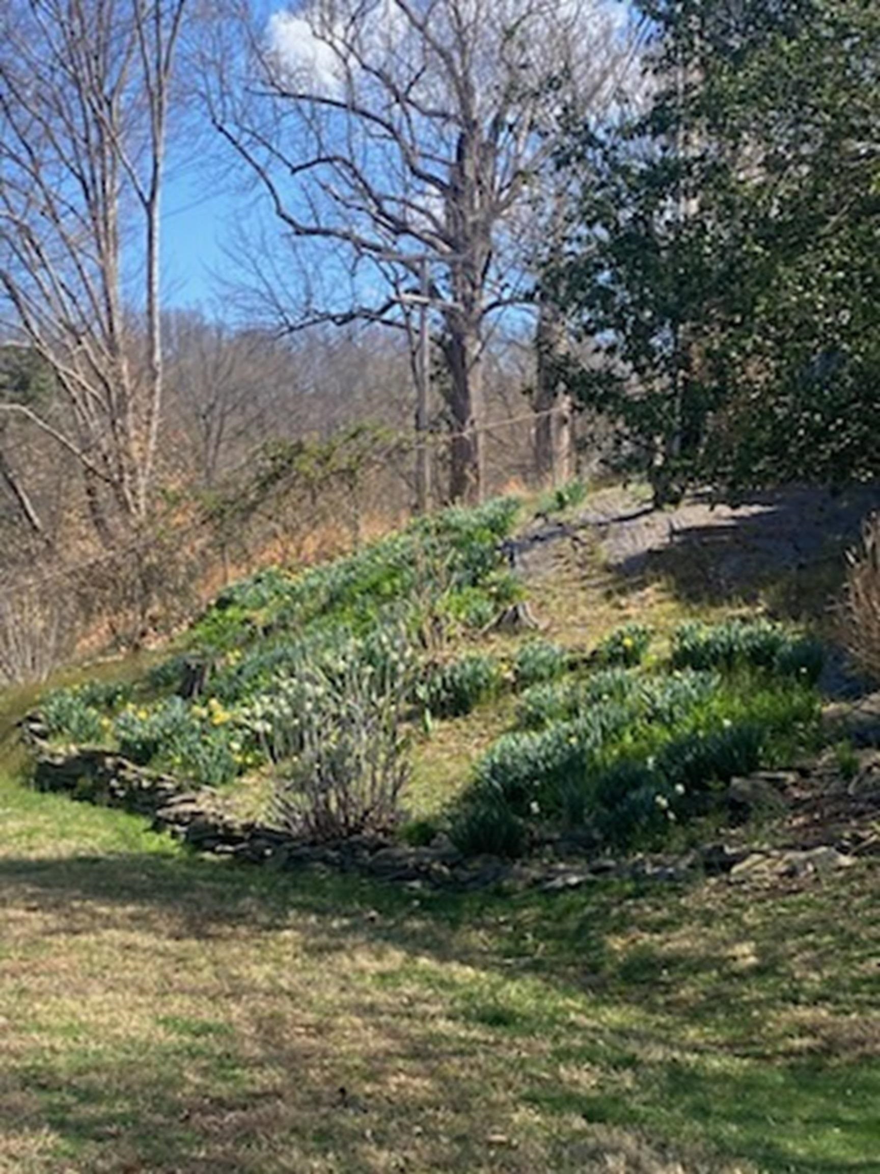1908 Weymouth Drive