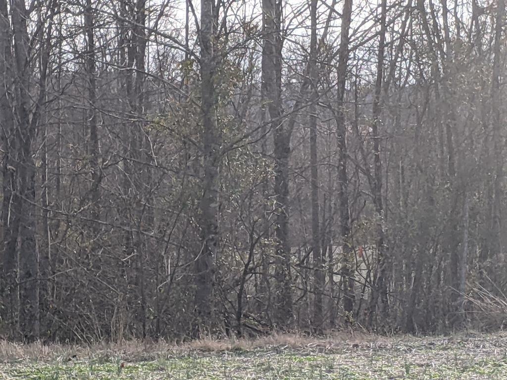 7622 E Tygart