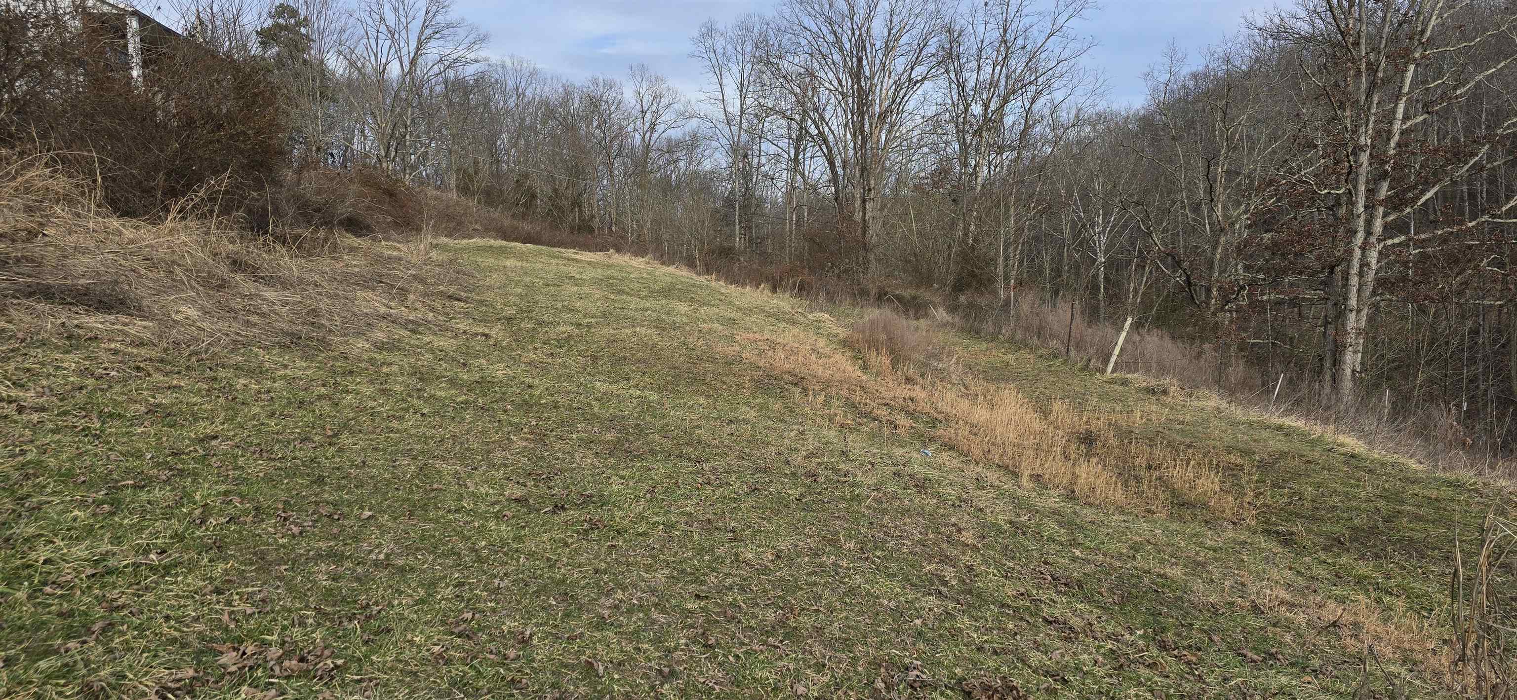 559 Muddy Branch Rd