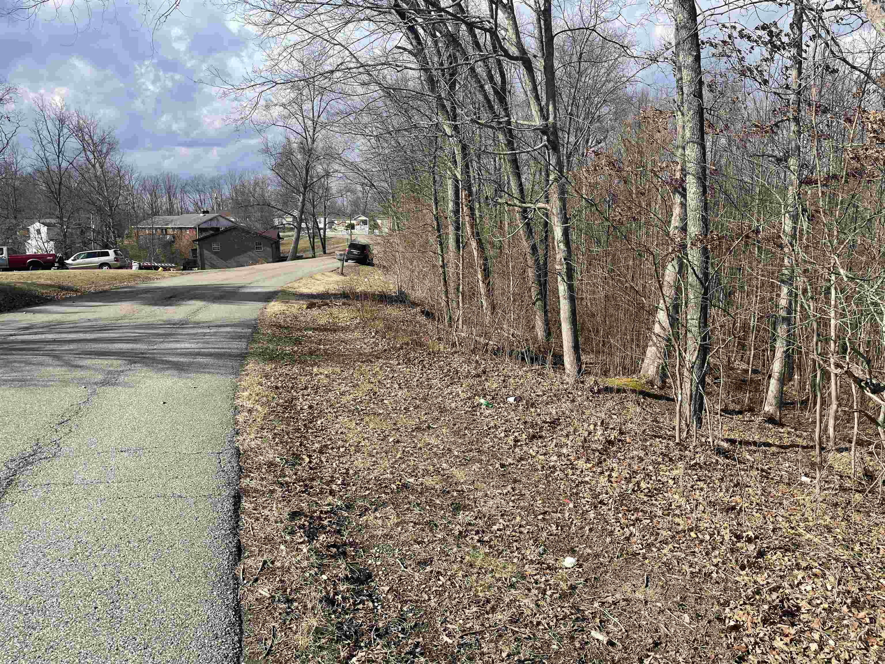 Wallace Drive