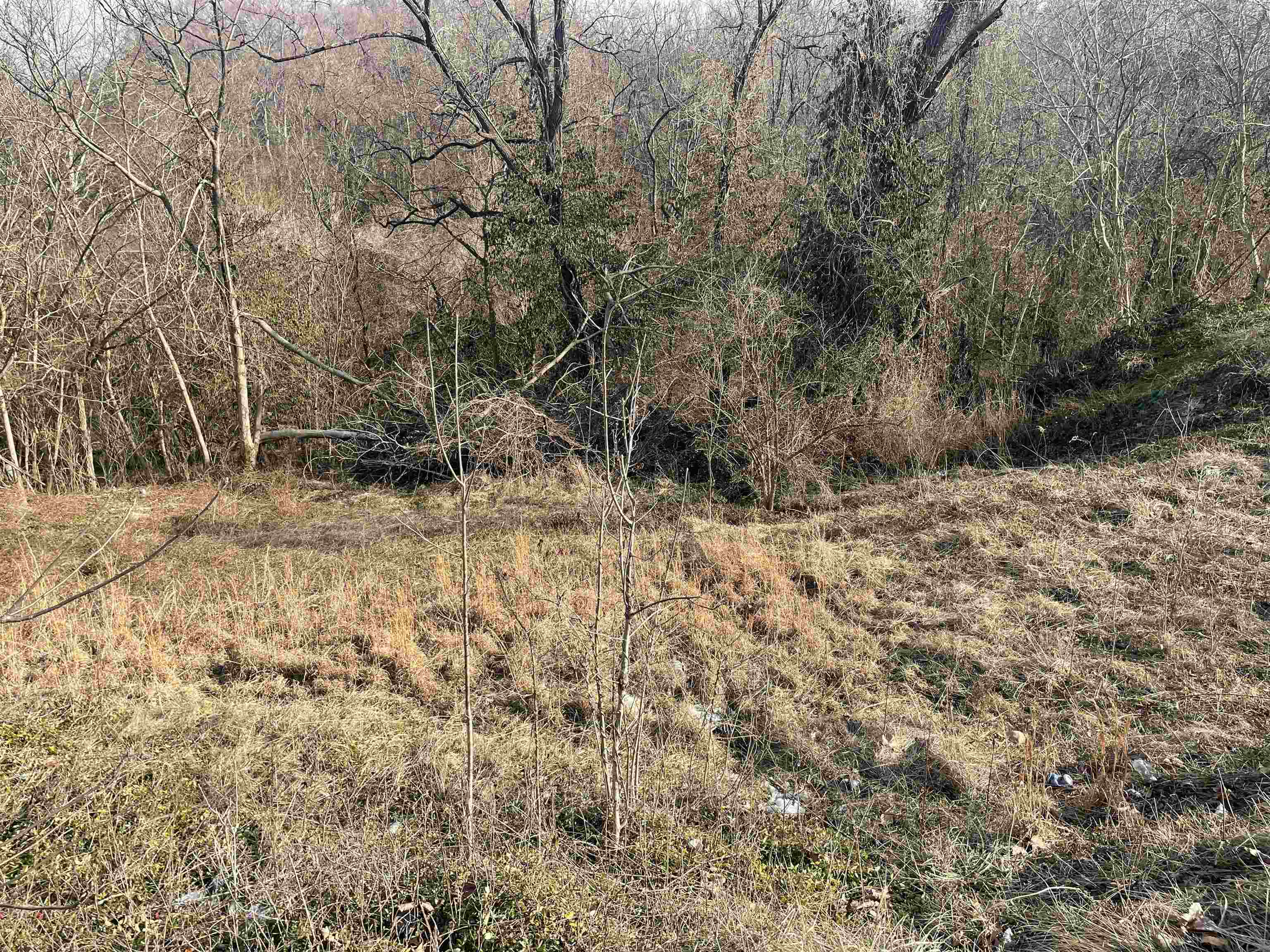 1409 Hoods Creek Pike