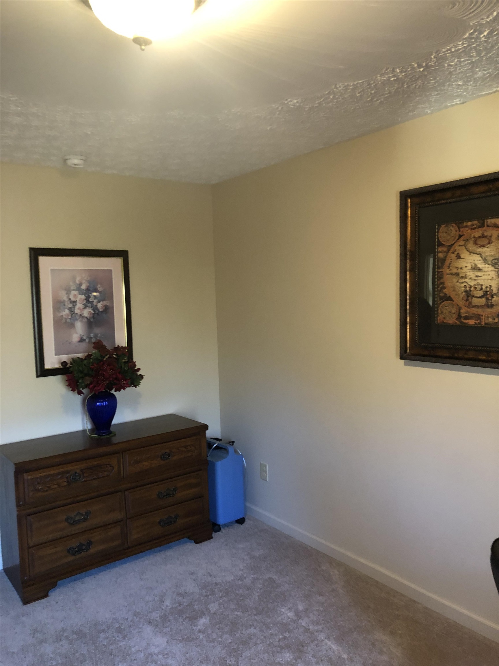 1788 Drop Tine Lane
