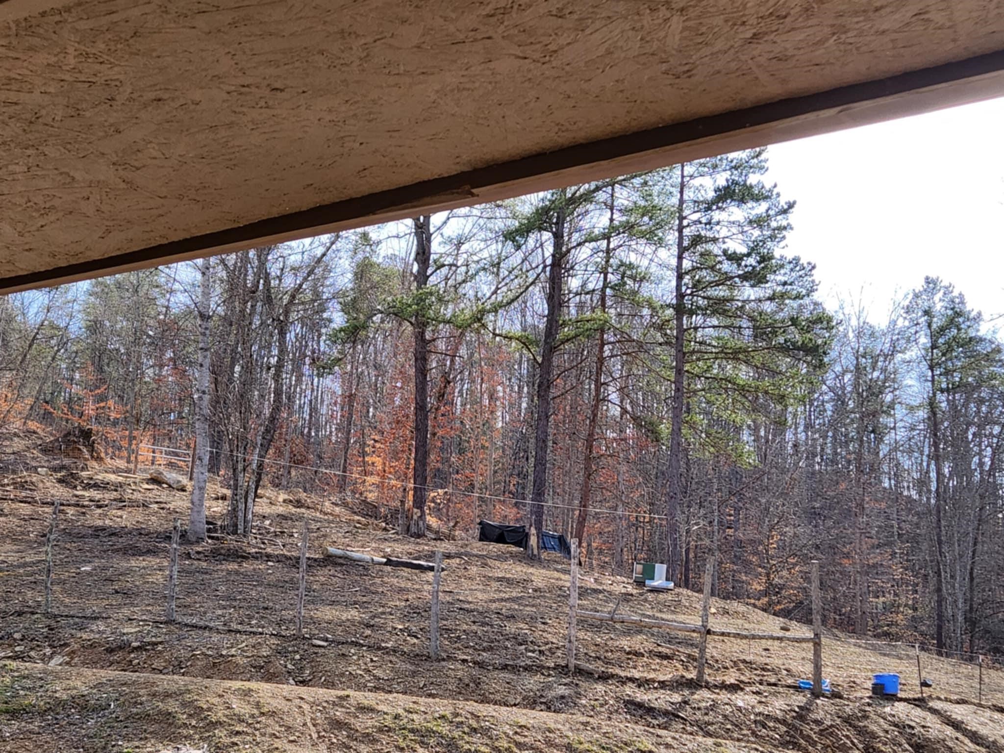 846 Wolf Creek