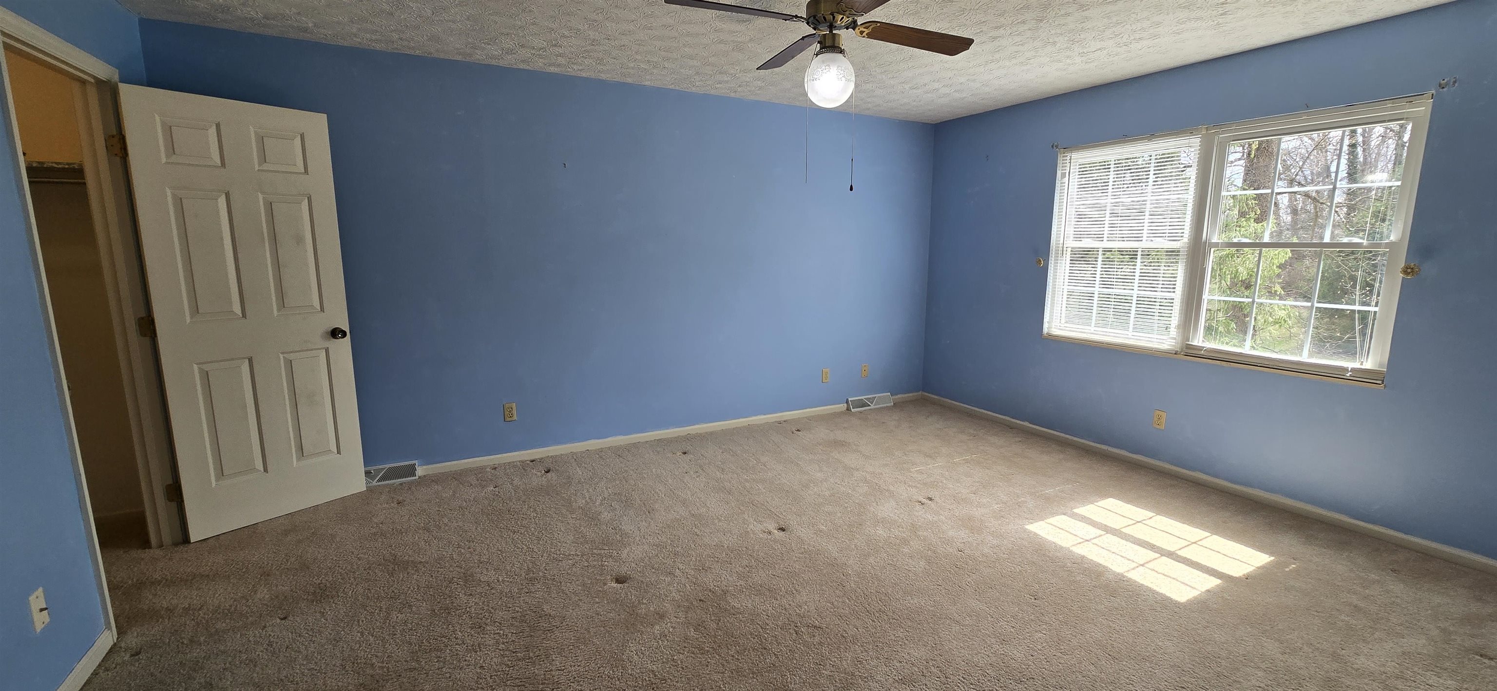 205 Princess Drive