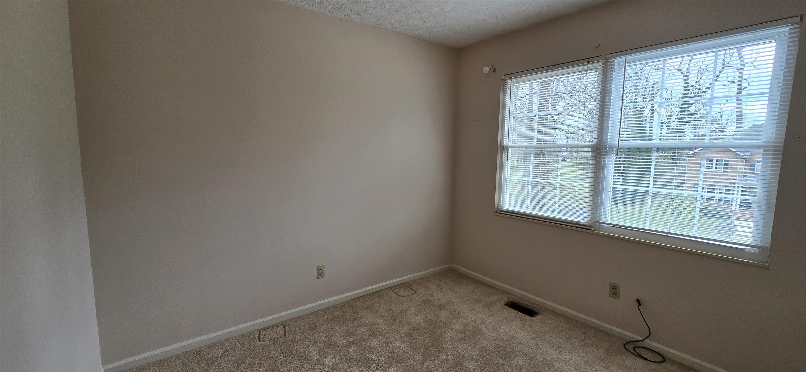 205 Princess Drive