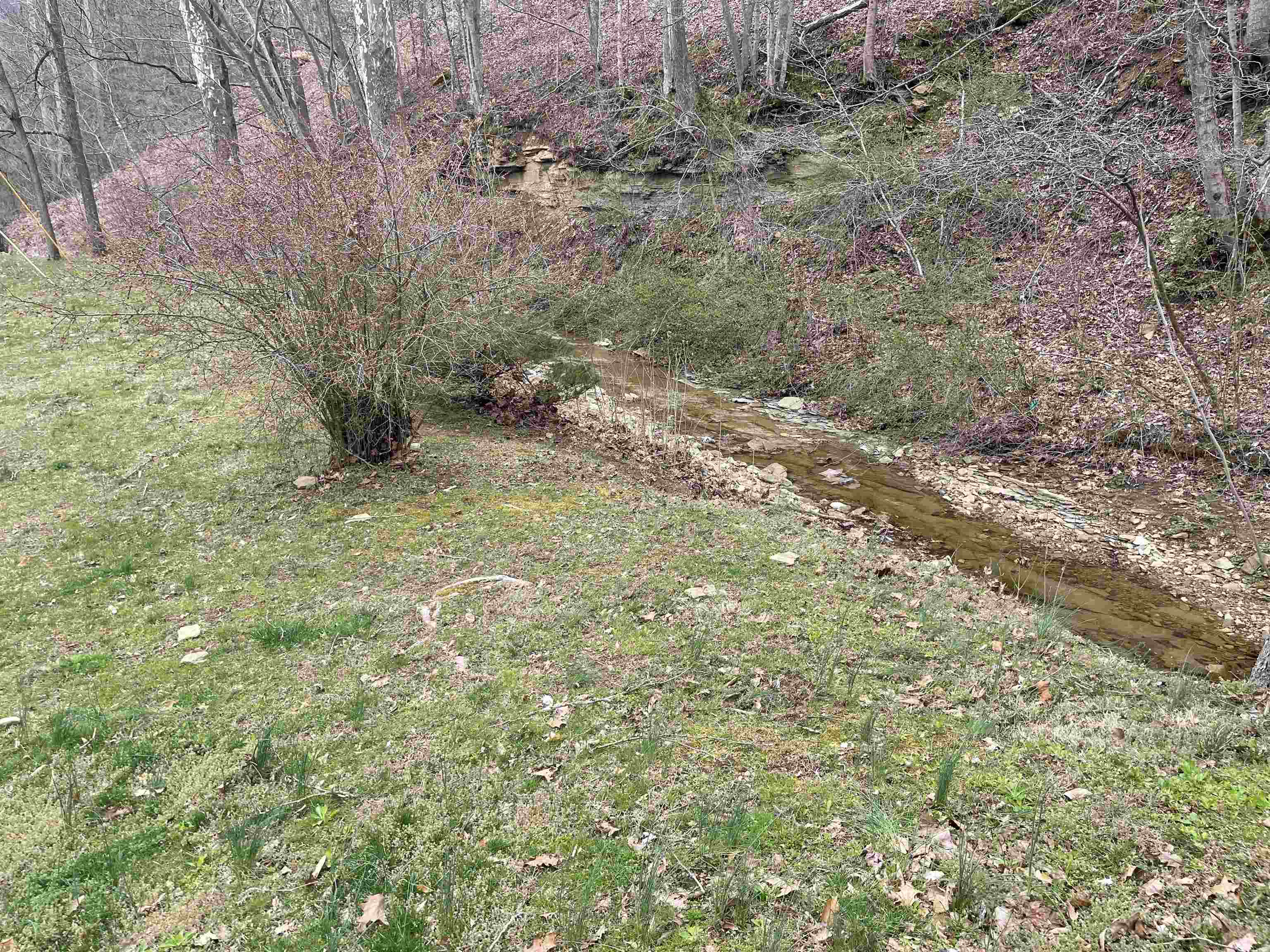 985 Parker Hollow
