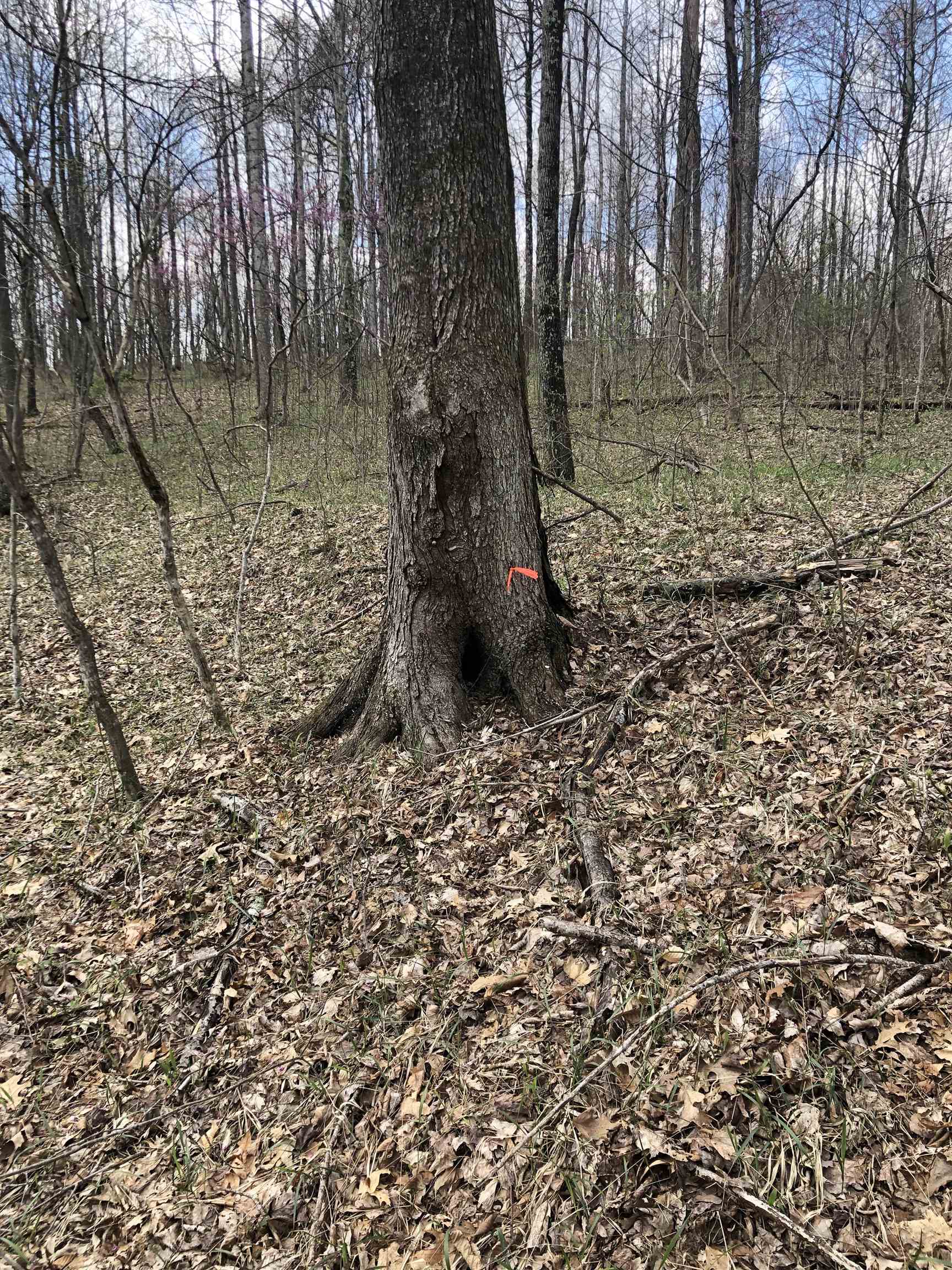 1147 Lowder Fork