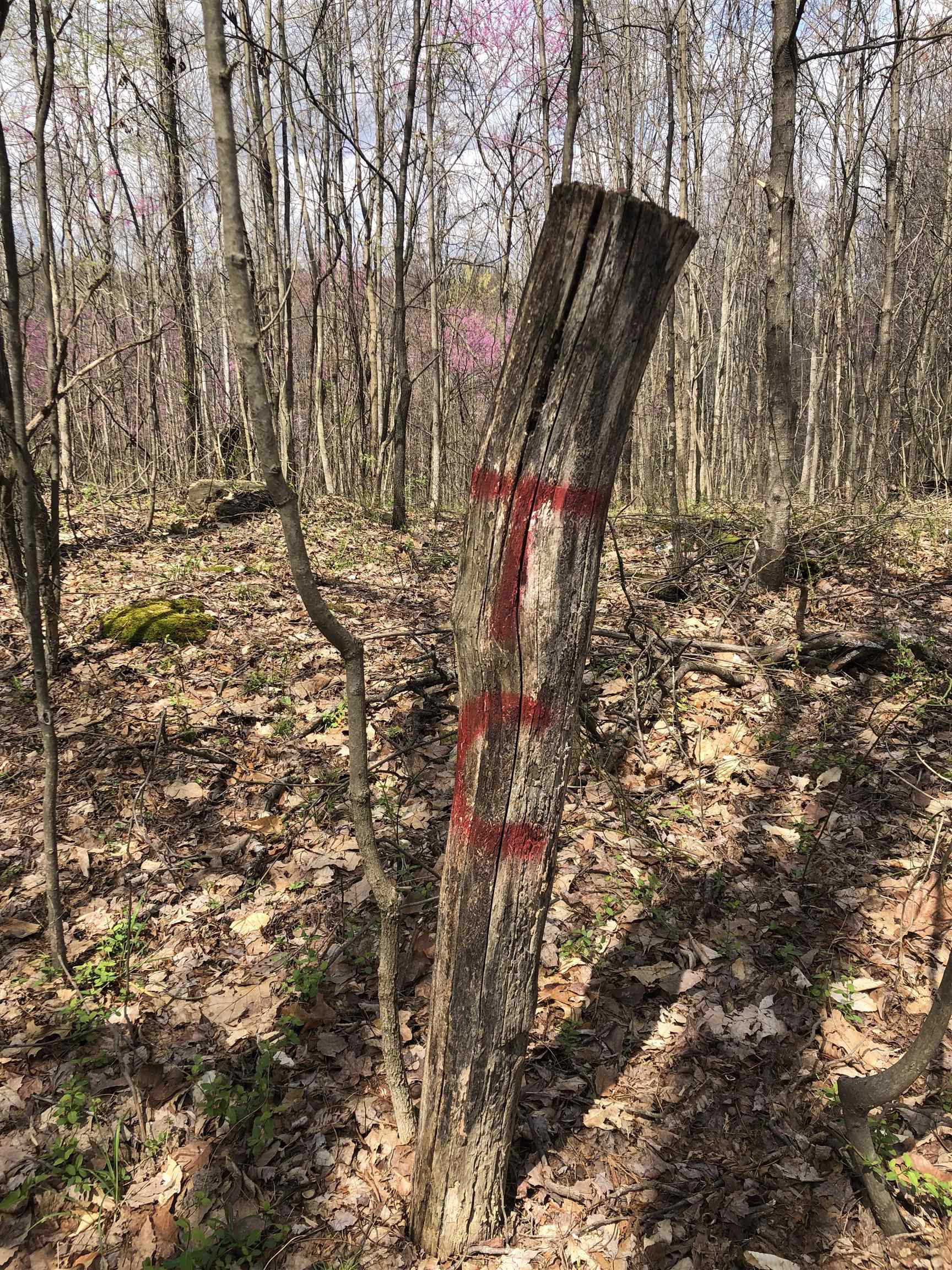 1147 Lowder Fork