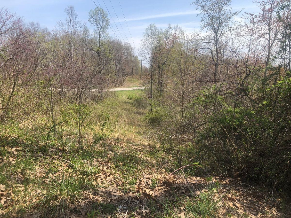 State Highway 986