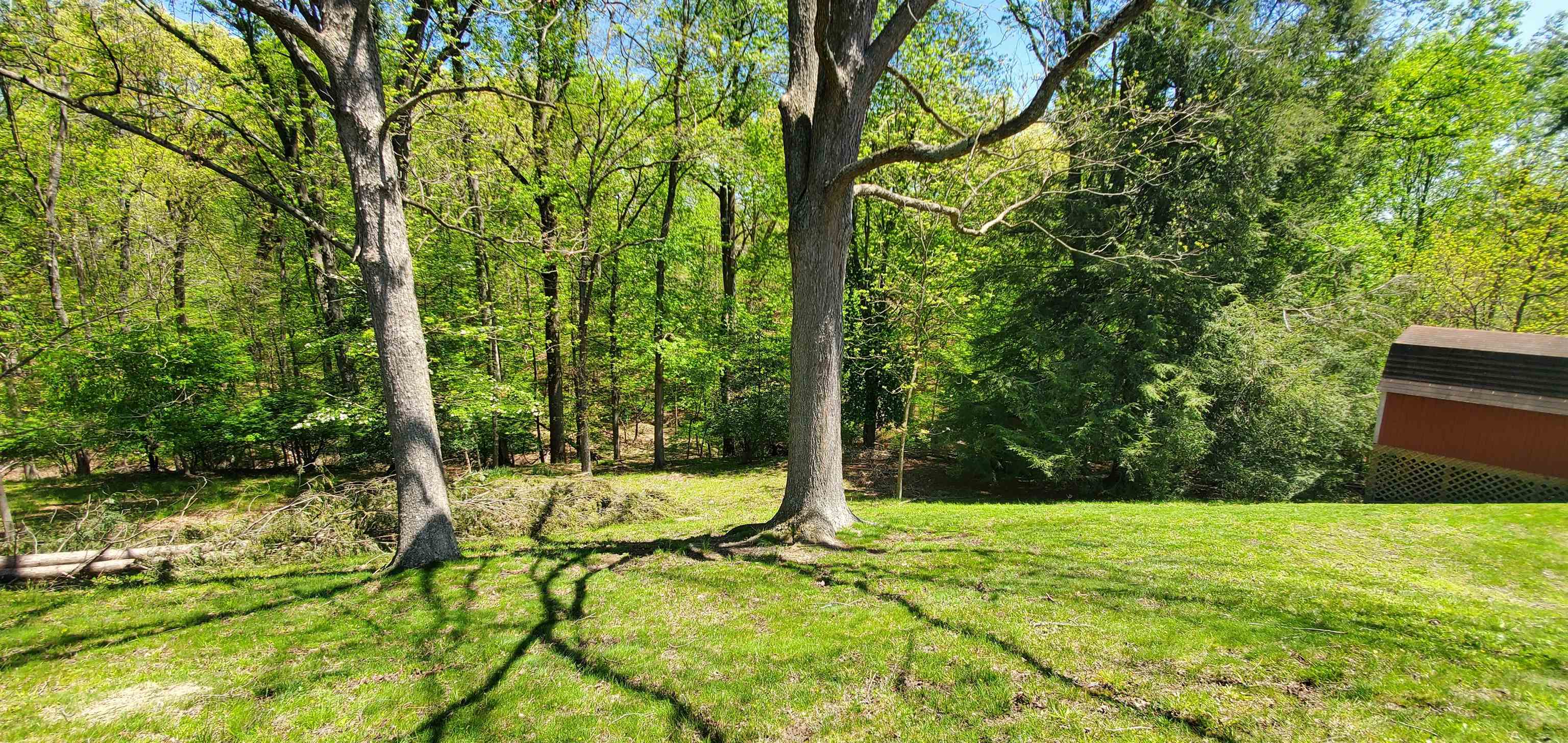 239 Robin Road