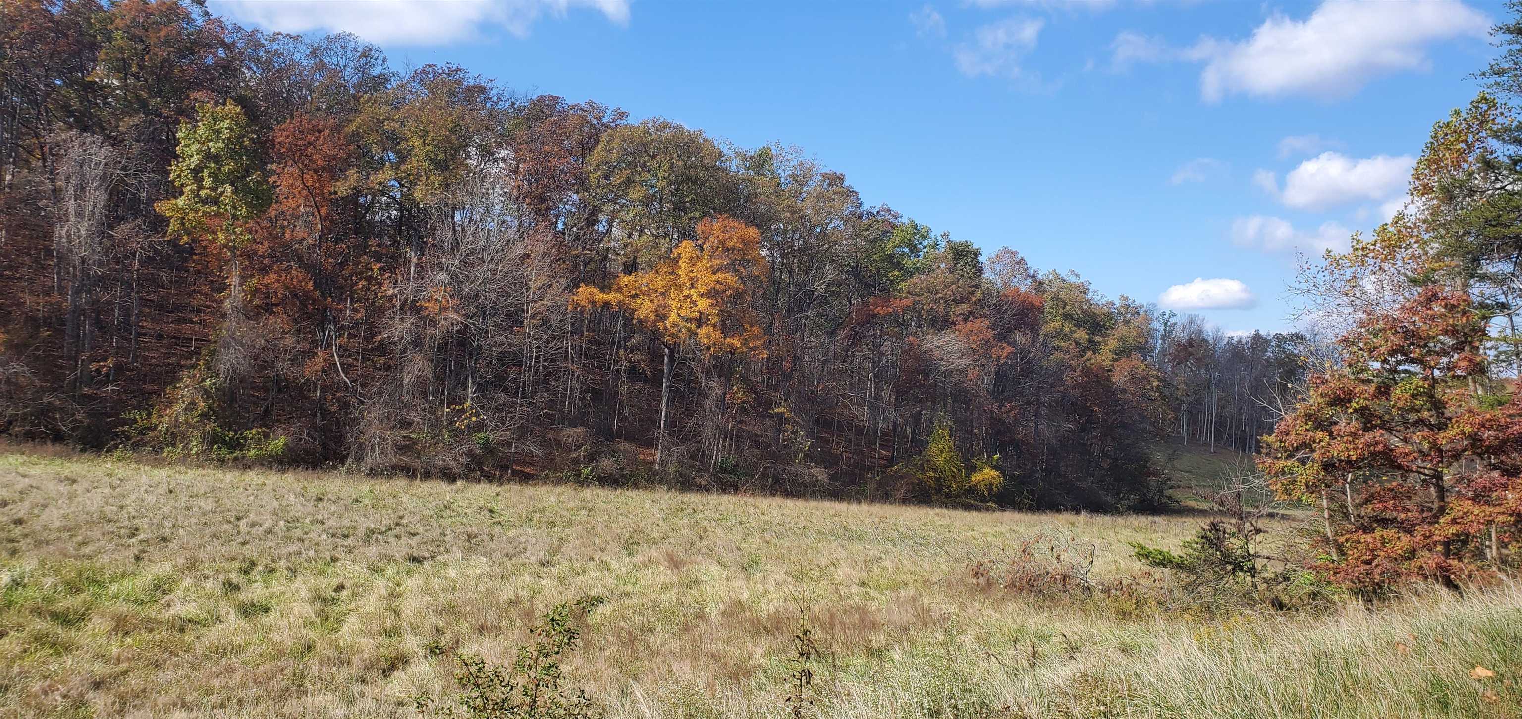 Gloria Avenue, Lot 4