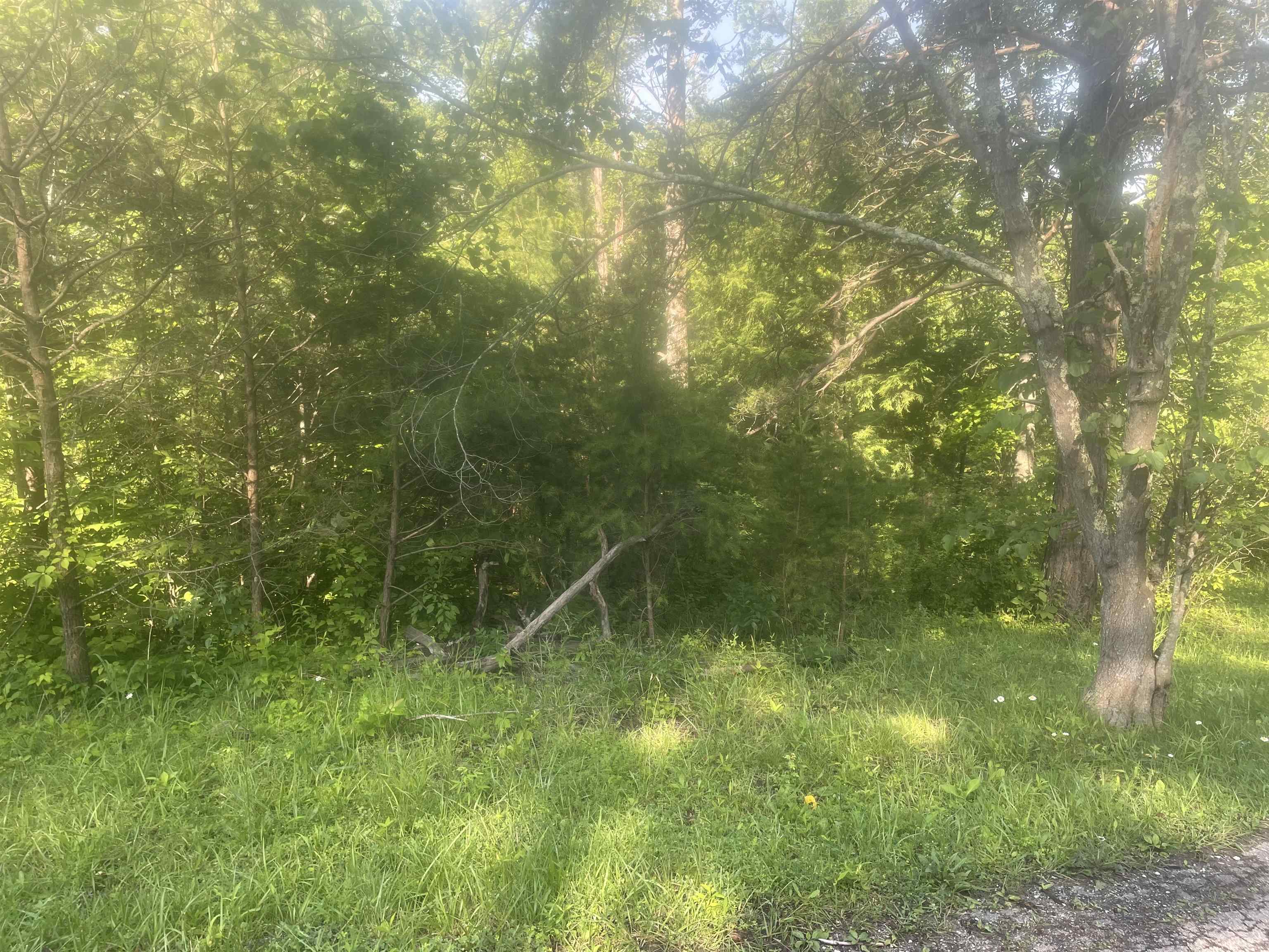 4371 Carter Caves Road