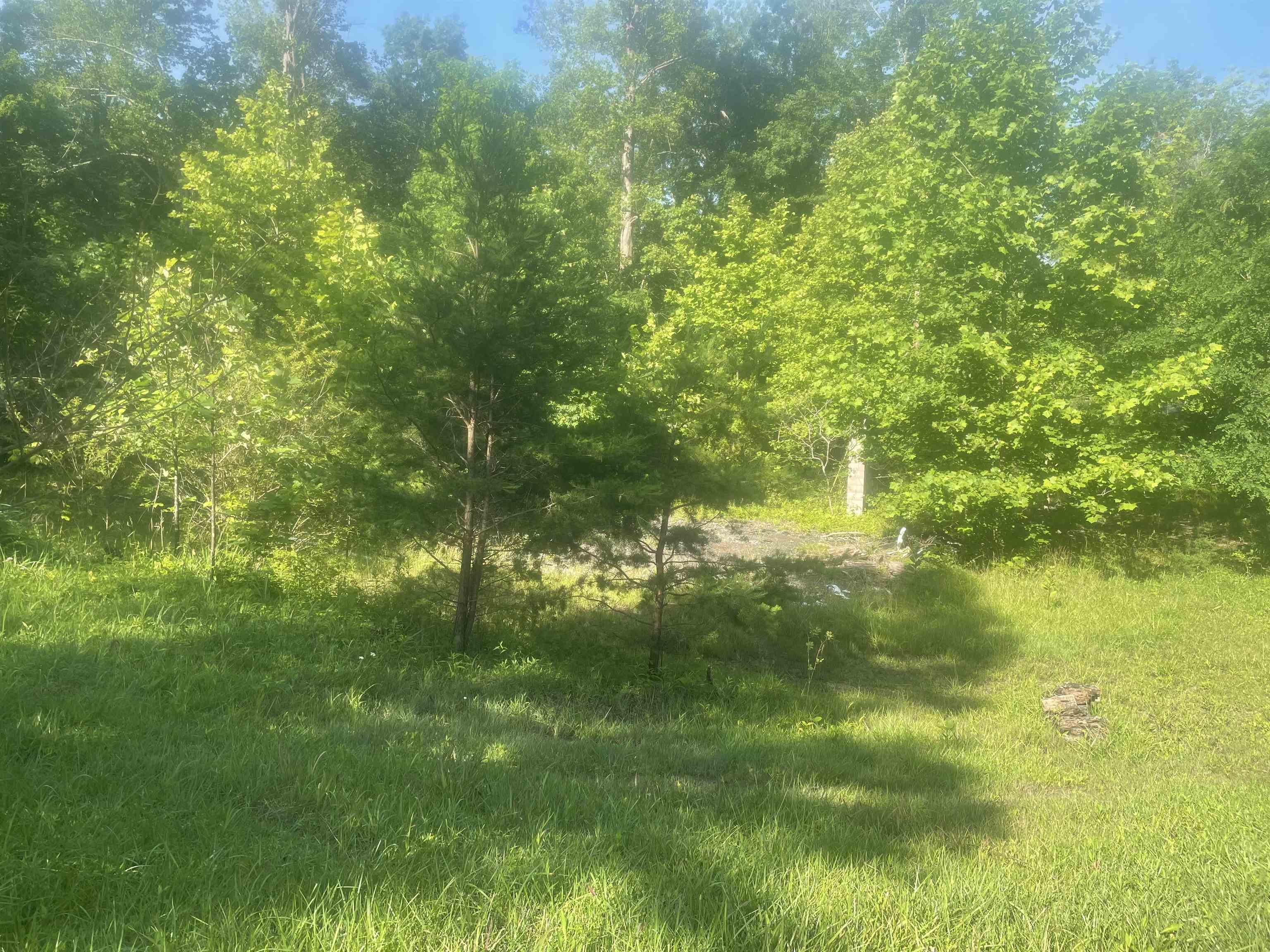 4371 Carter Caves Road