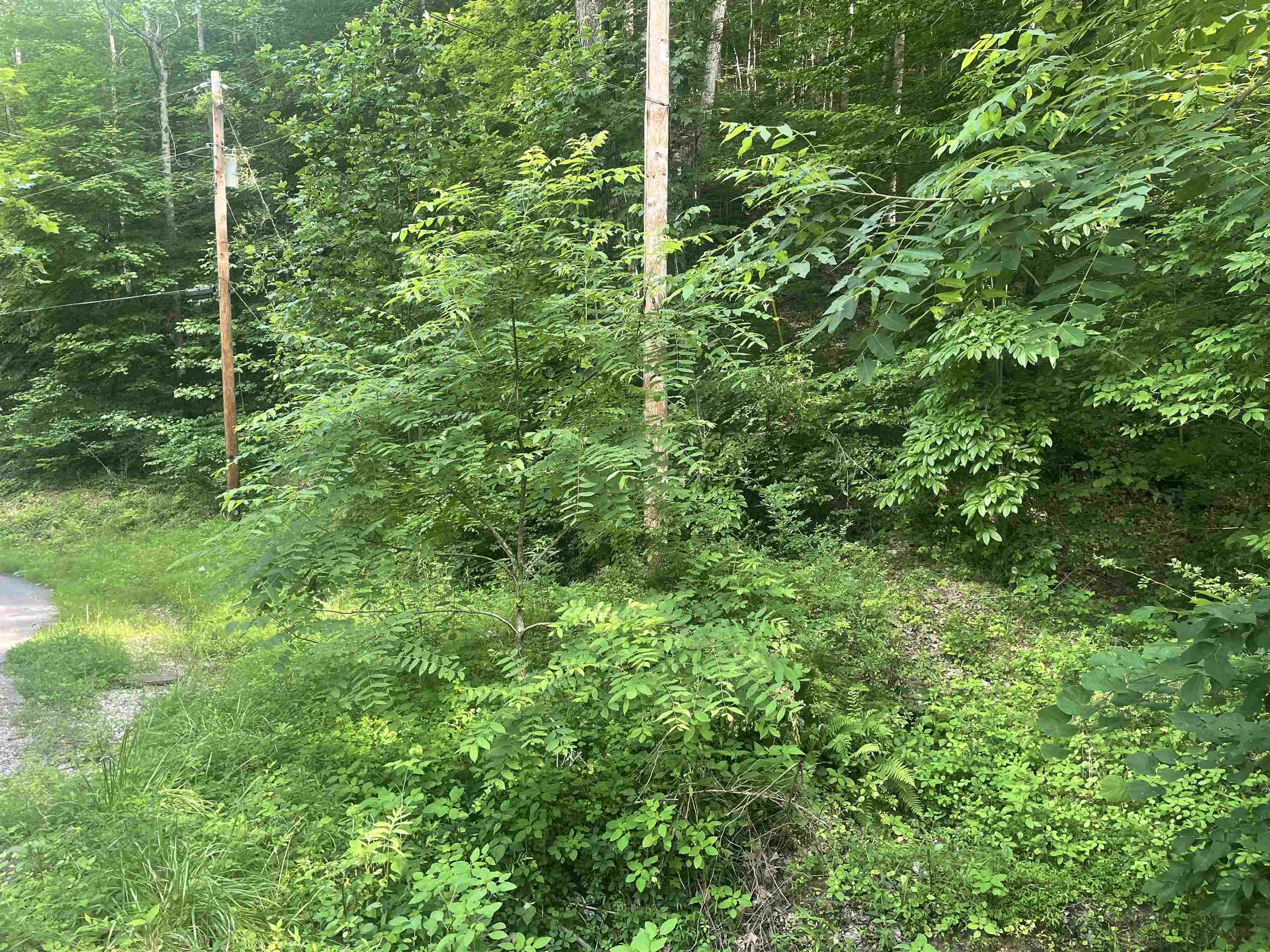 0 Claylick Creek Road