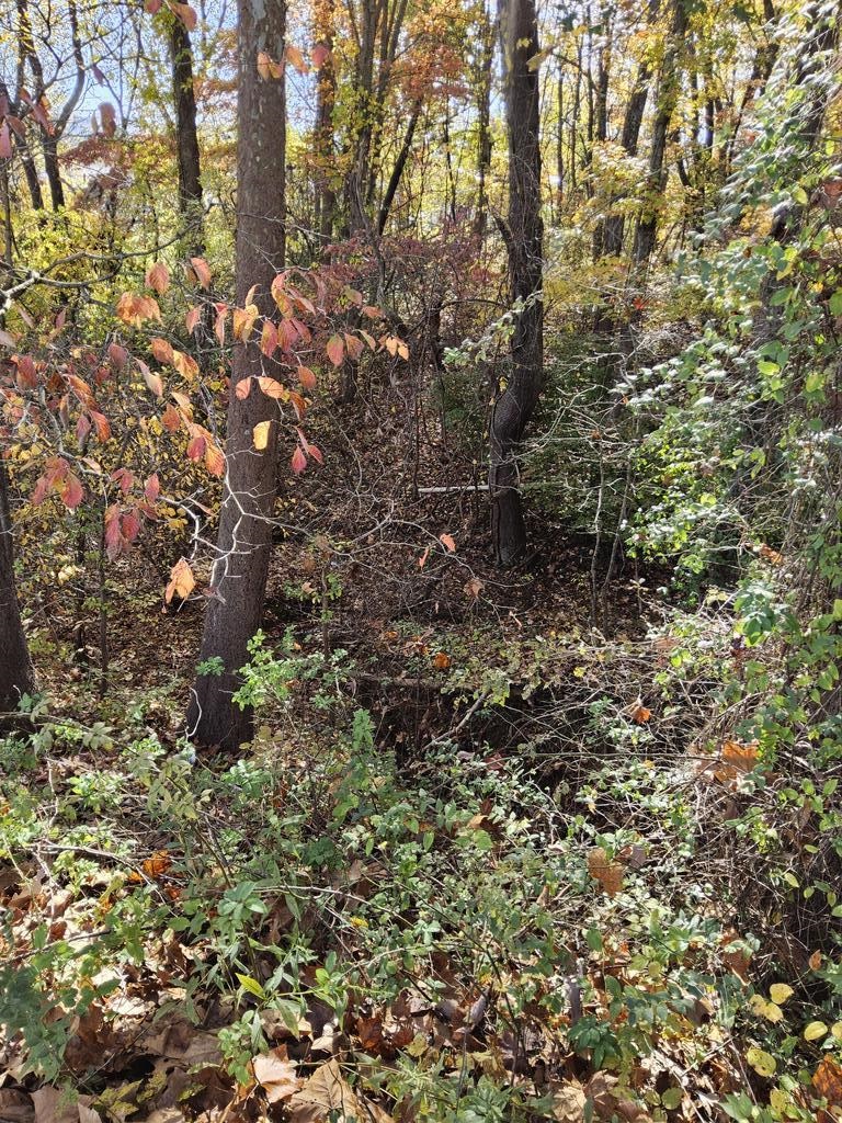 Clara Street, Lots 18,26, Half Of 27