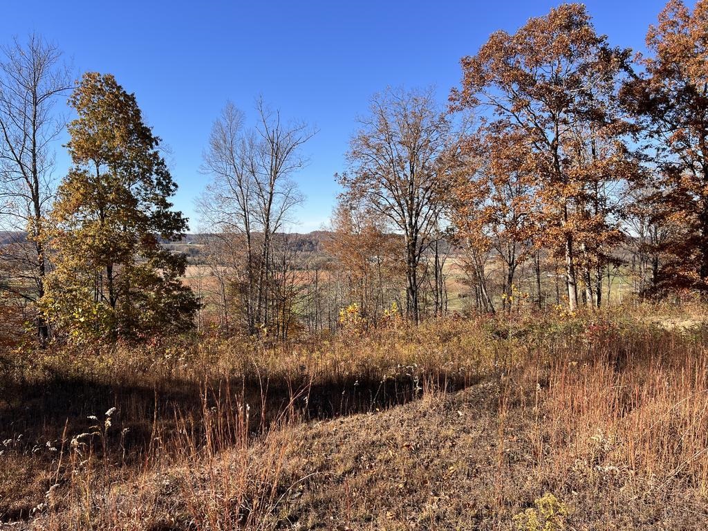 Sleepy Hollow, 8.49 Acres