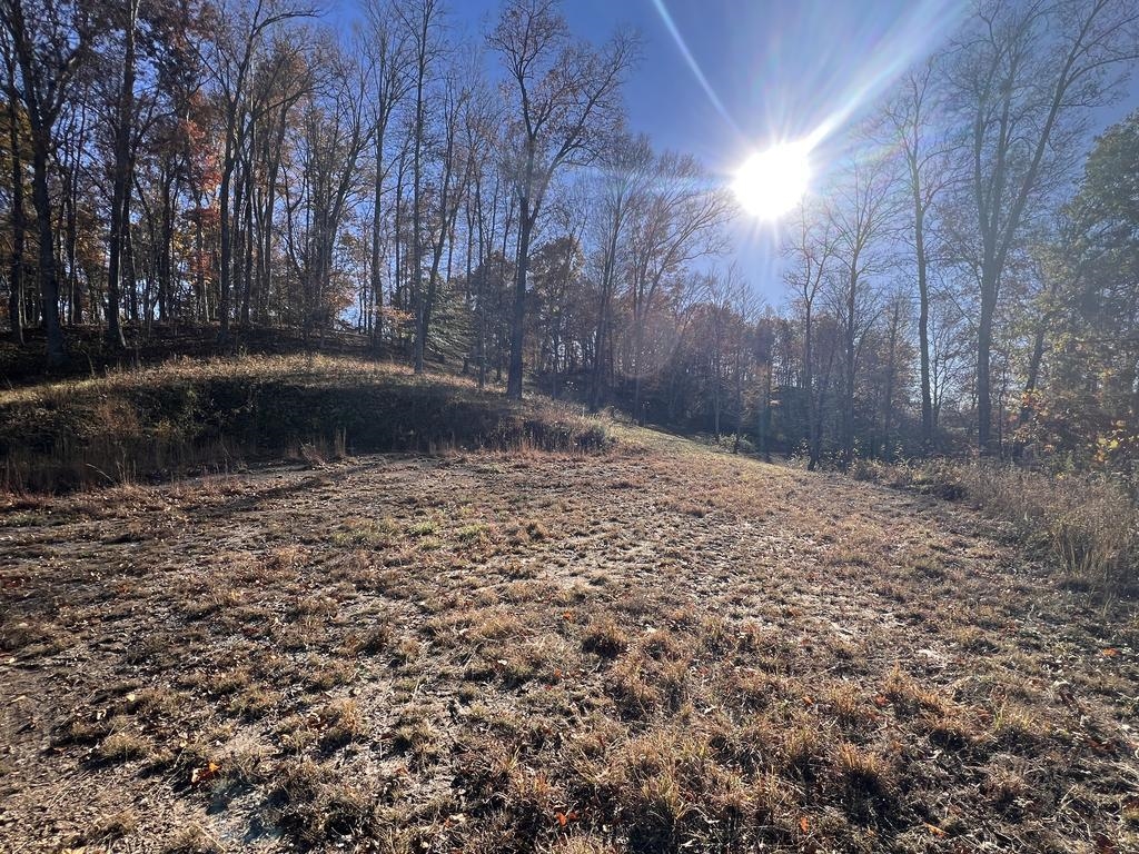 Sleepy Hollow, 8.49 Acres