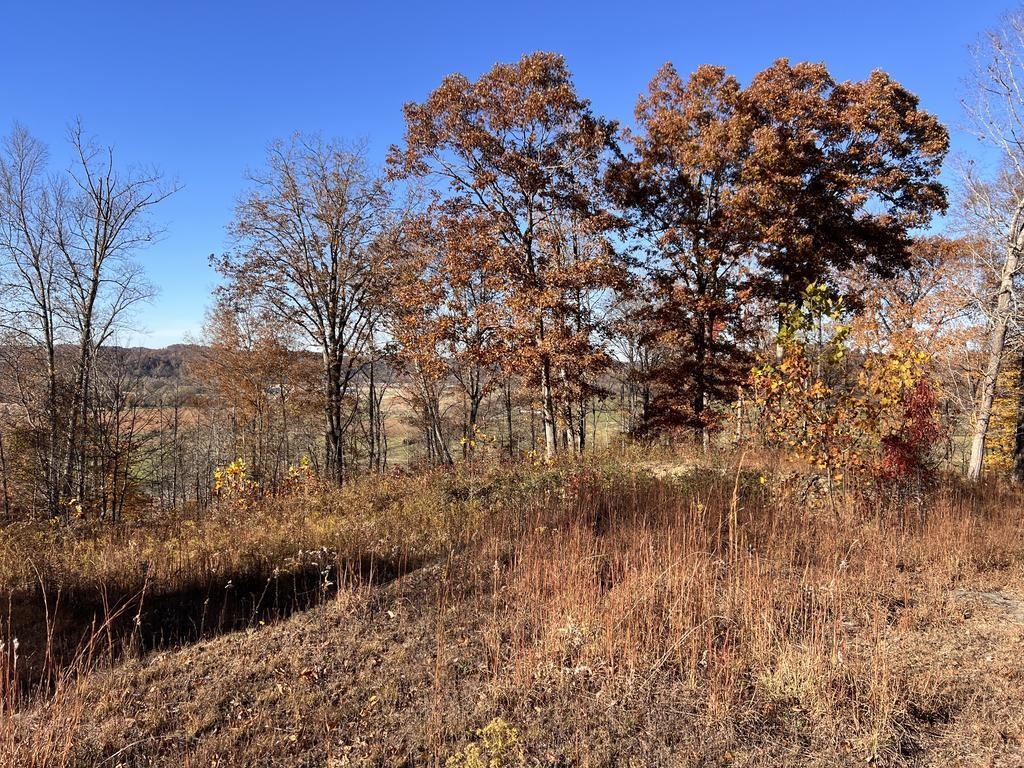 Sleepy Hollow, 8.49 Acres