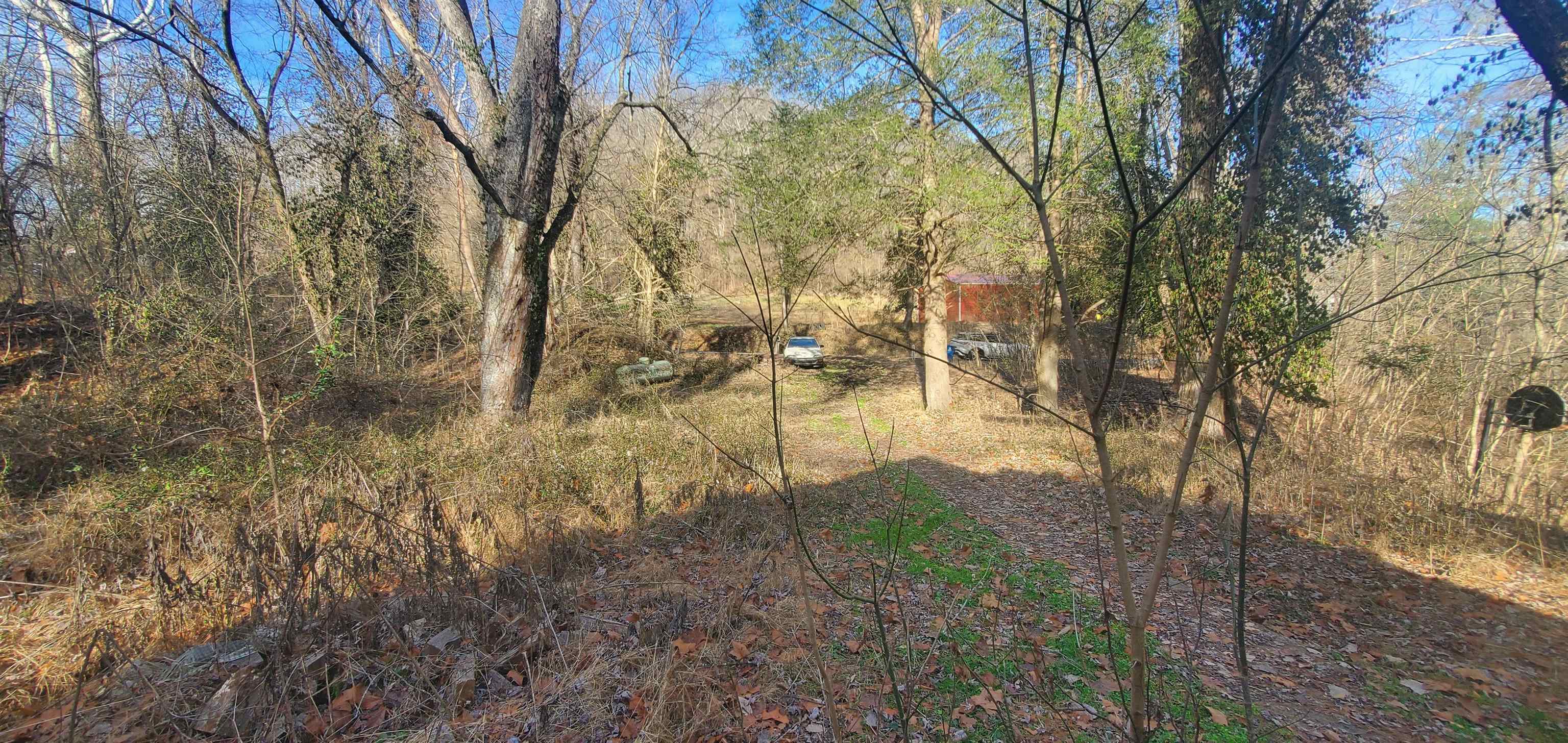 461 Culp Creek