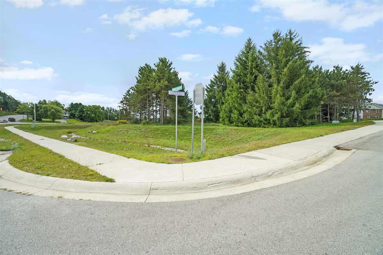 Picture 17