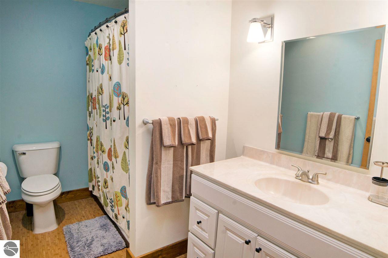 117 Rose Street, Traverse City, MI 49686 photo 36 of 46