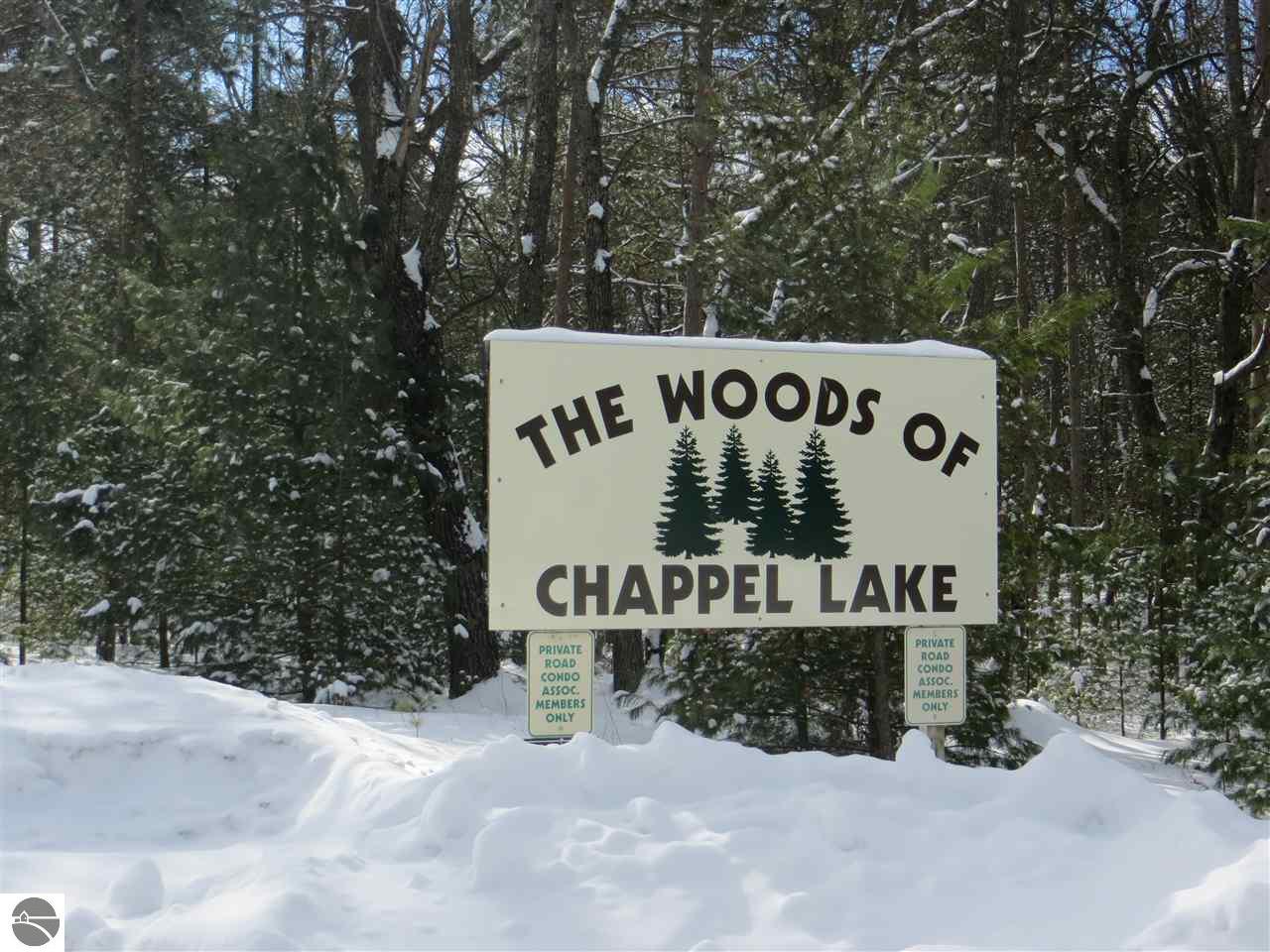 1611 Chappel Woods Trail, National City, MI 48748 photo 2 of 58